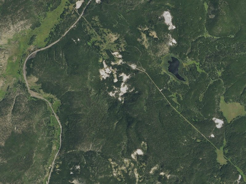 Aerial view of the ground around Amphitheater Springs