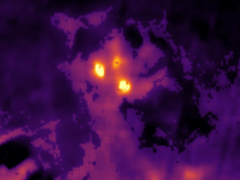 Landsat thermal view of the same ground around Fly Ranch (Wards) Hot Springs