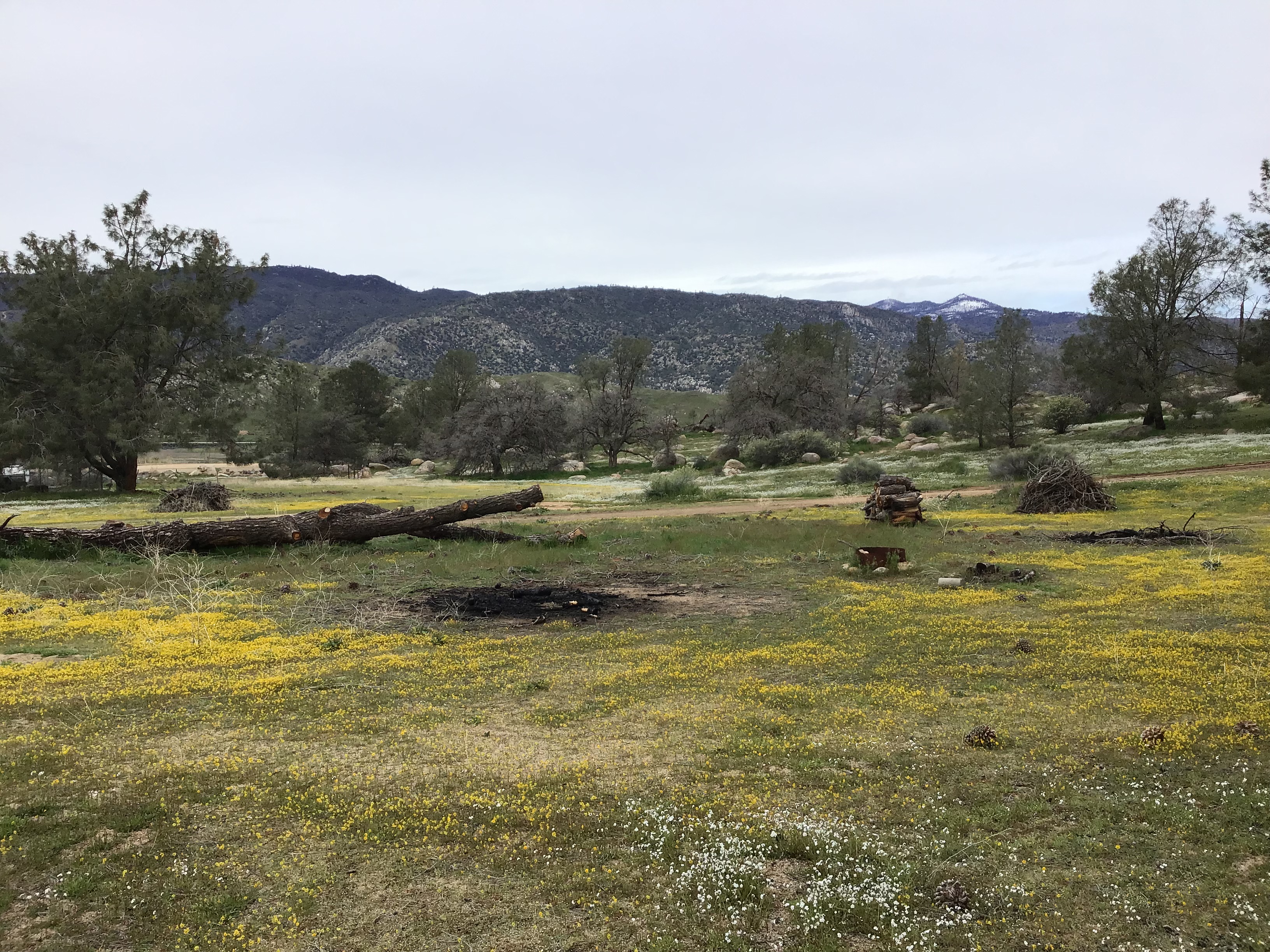 Scovern Hot Springs