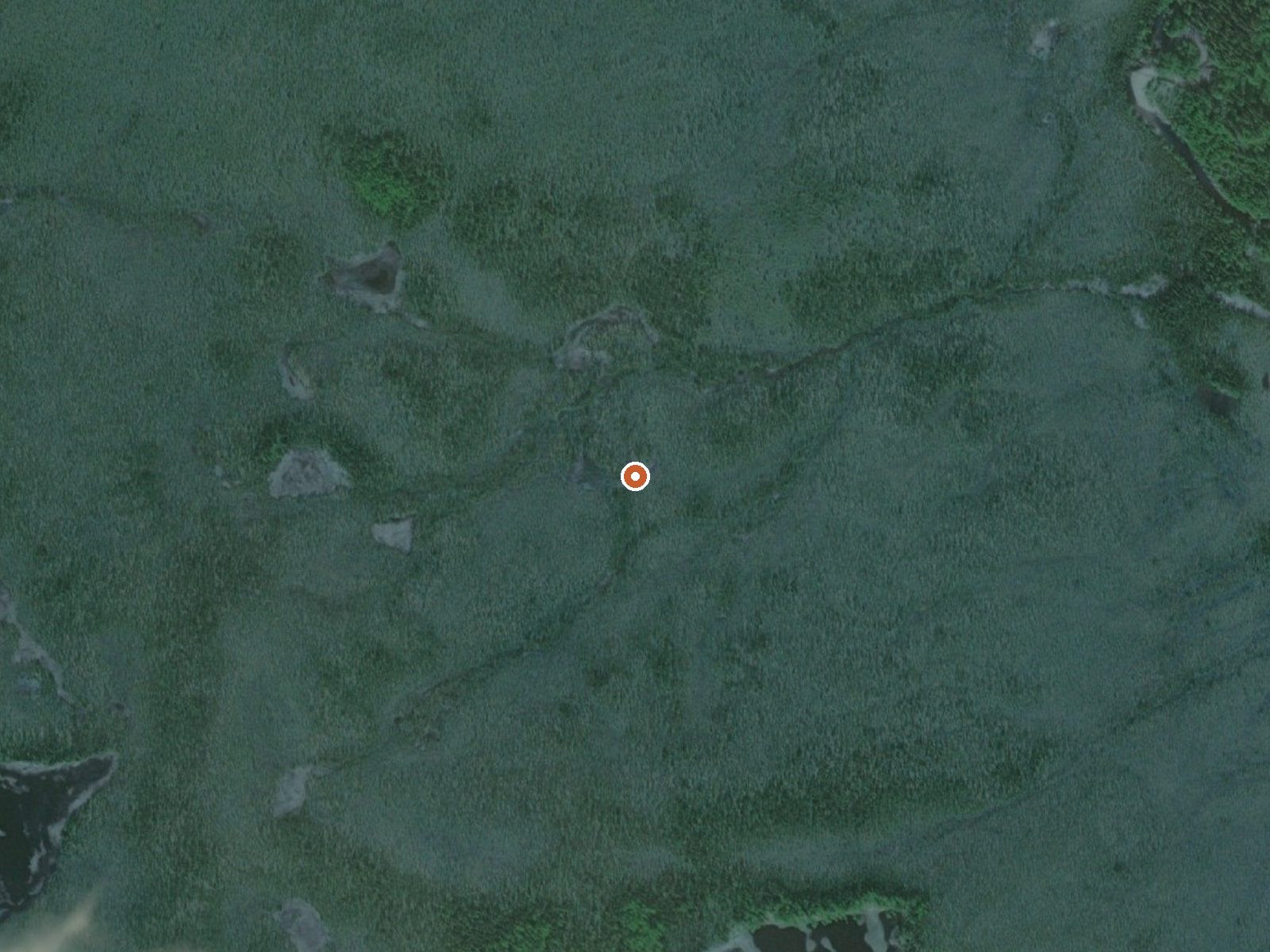 Aerial view of the ground around Hot Springs Near Glacier