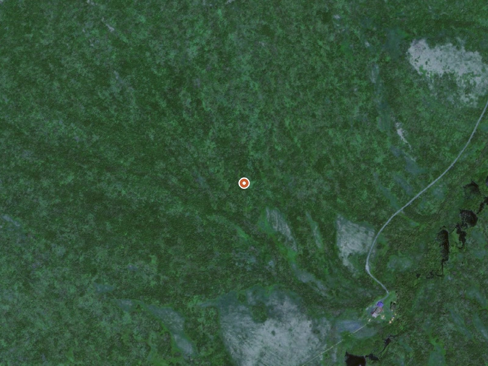 Aerial view of the ground around Hot Springs Near Ophir Creek