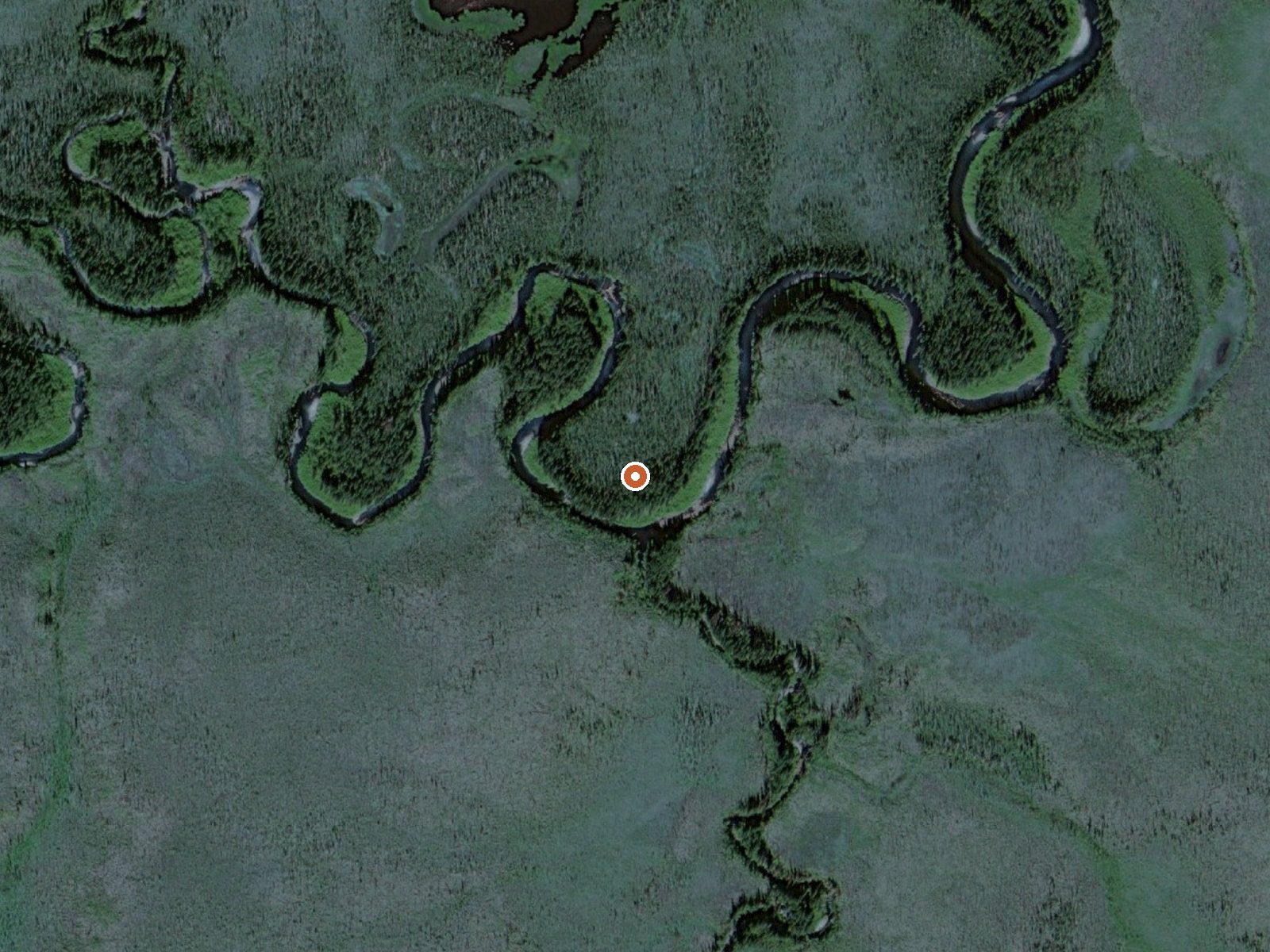 Aerial view of the ground around Hot Springs On Lower Ray River