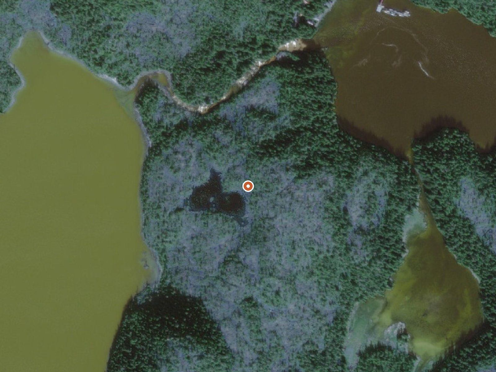 Aerial view of the ground around Baranof Warm Springs