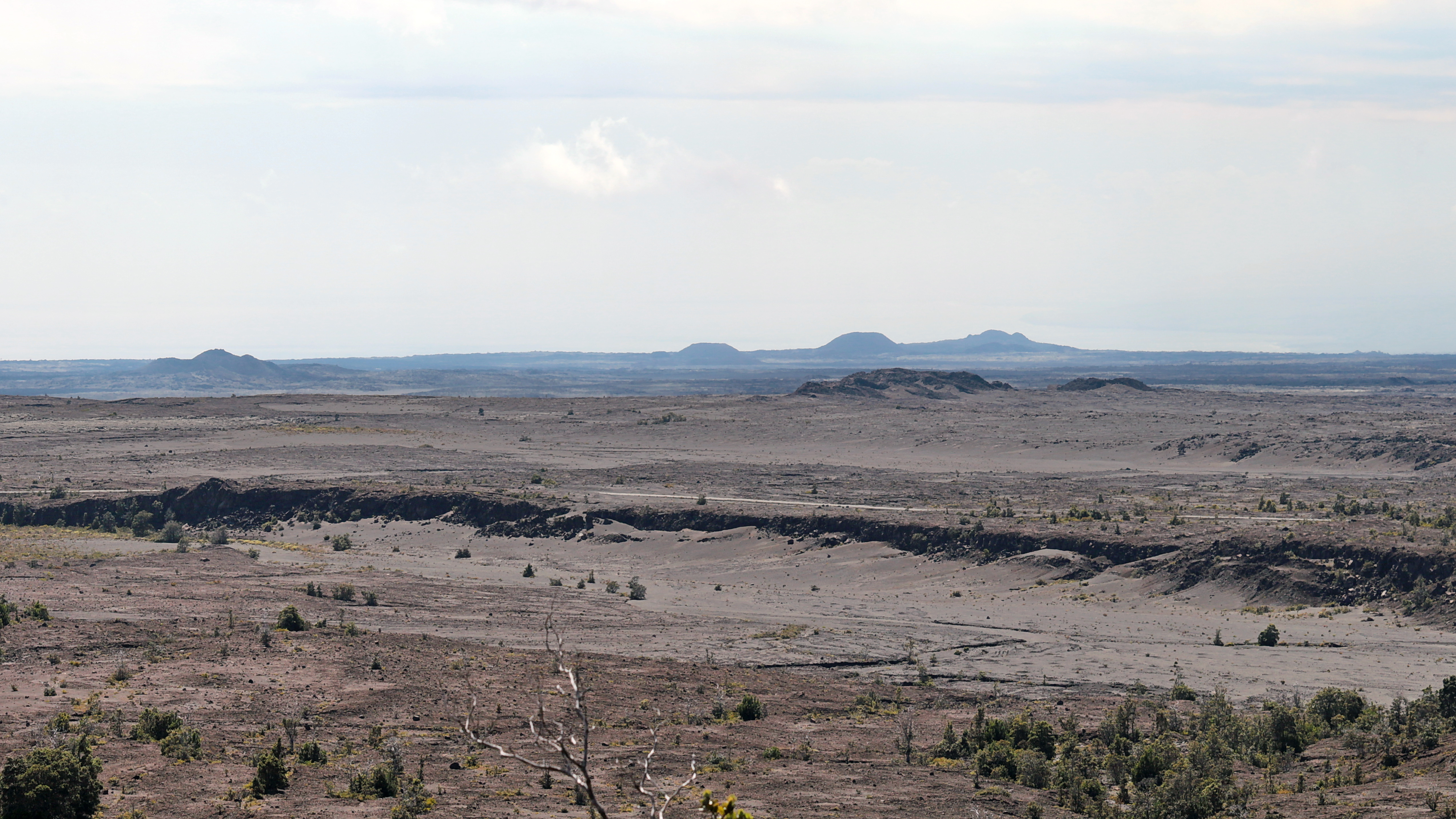 Steam Vents