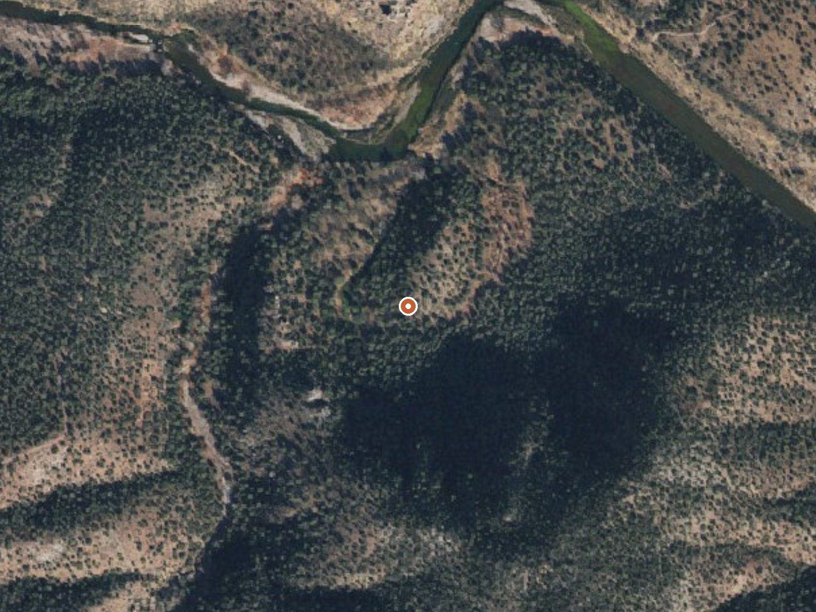 Aerial view of the ground around Warm Spring