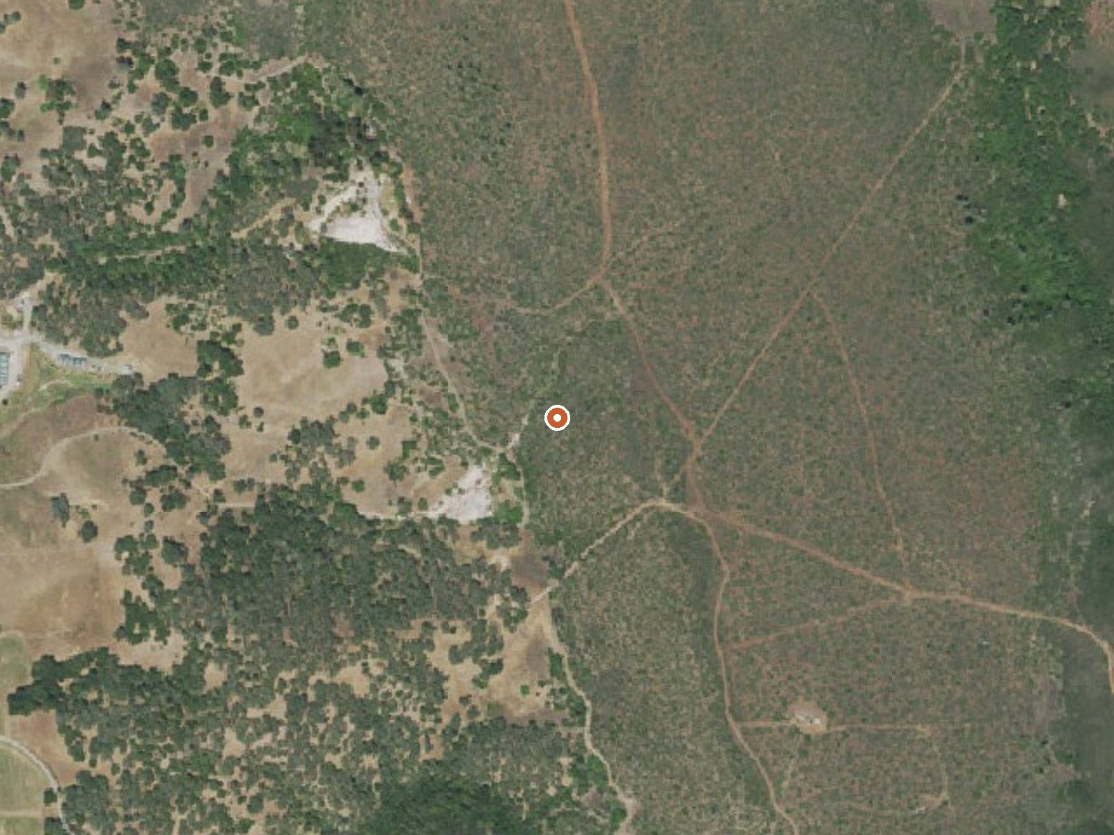 Aerial view of the ground around Napa Rock Soda Spring, Phillips Sod