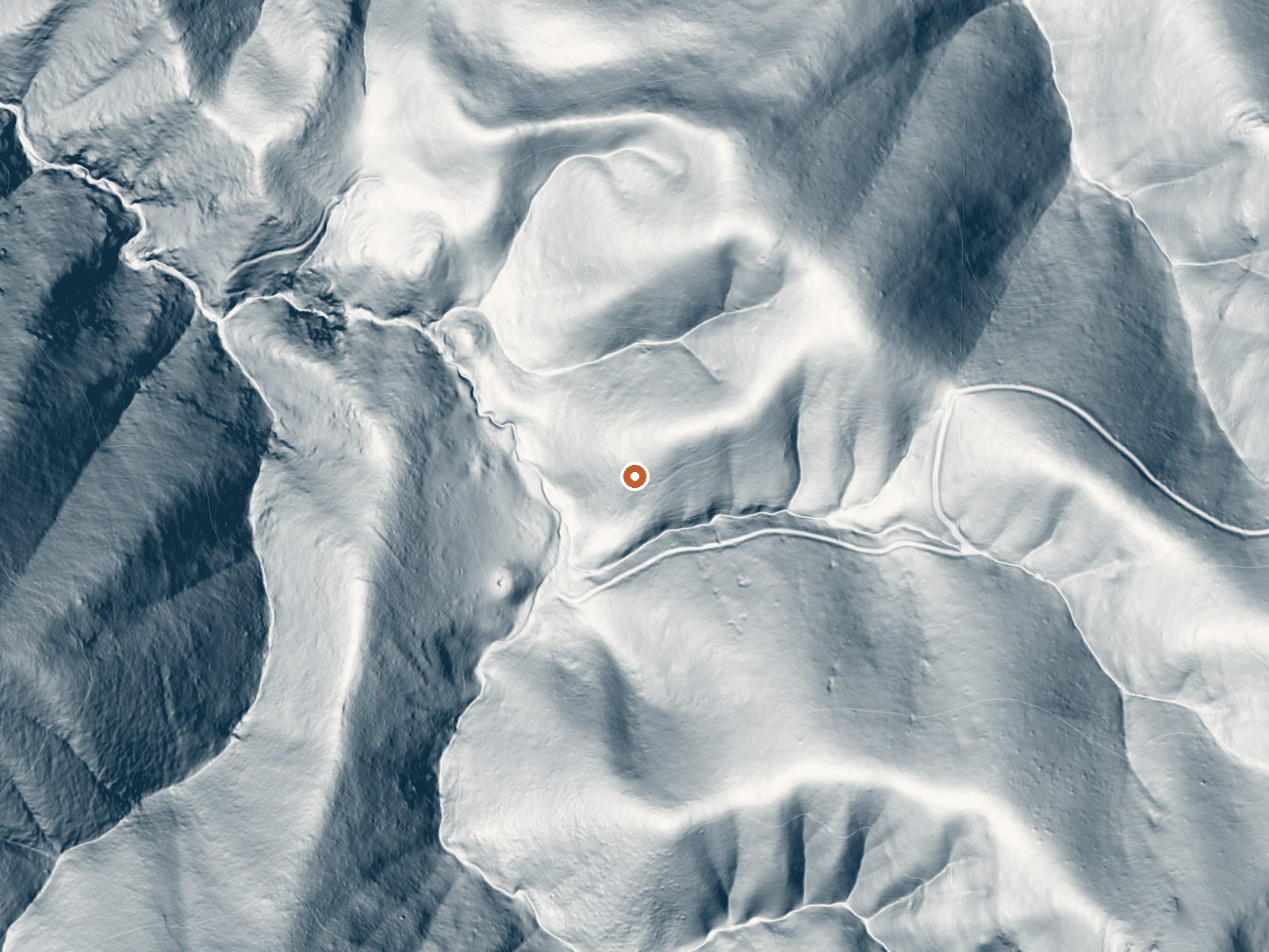 LiDAR bare-earth view of the same ground around Salt Grass Springs