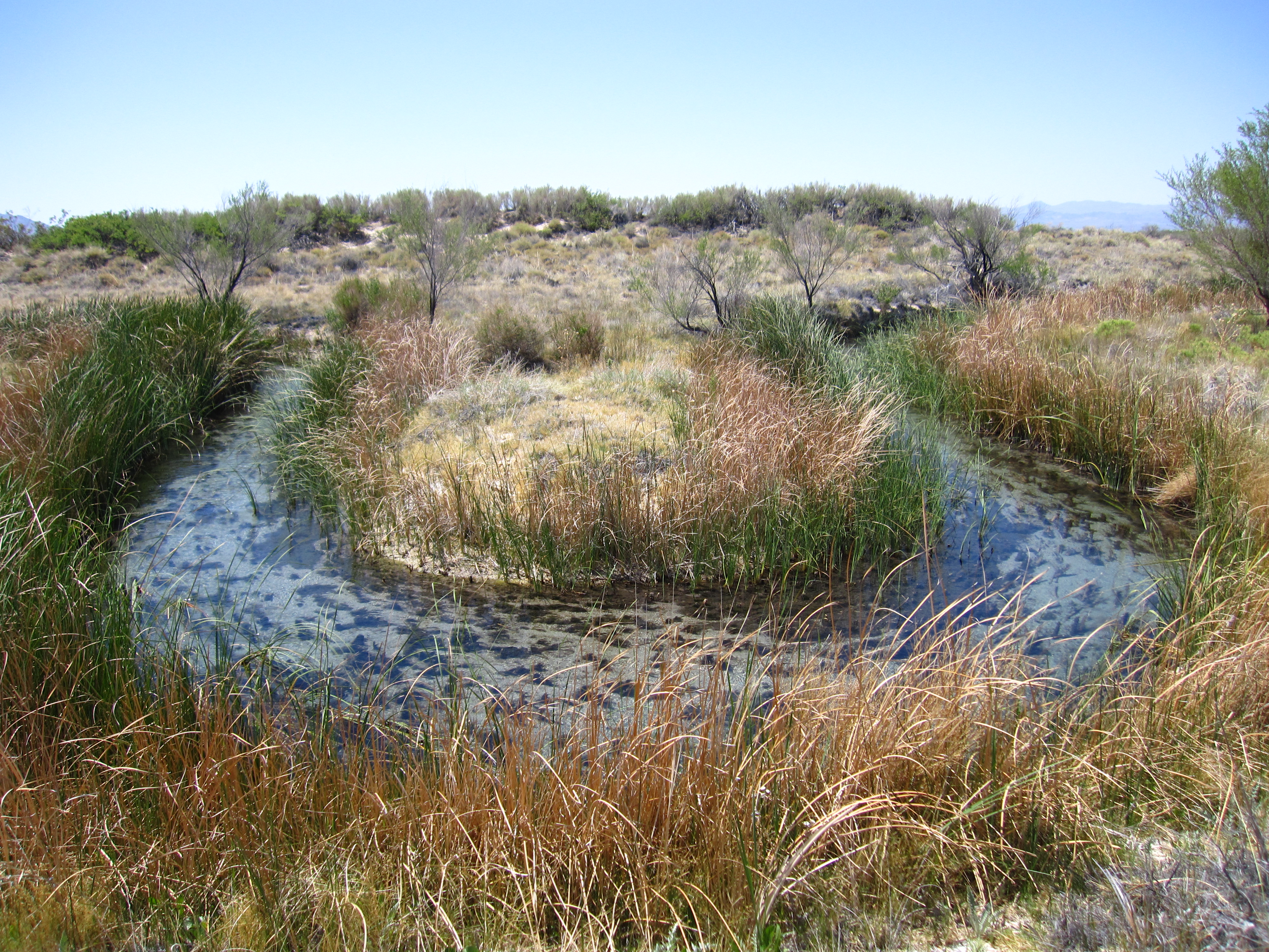 Crystal Pool