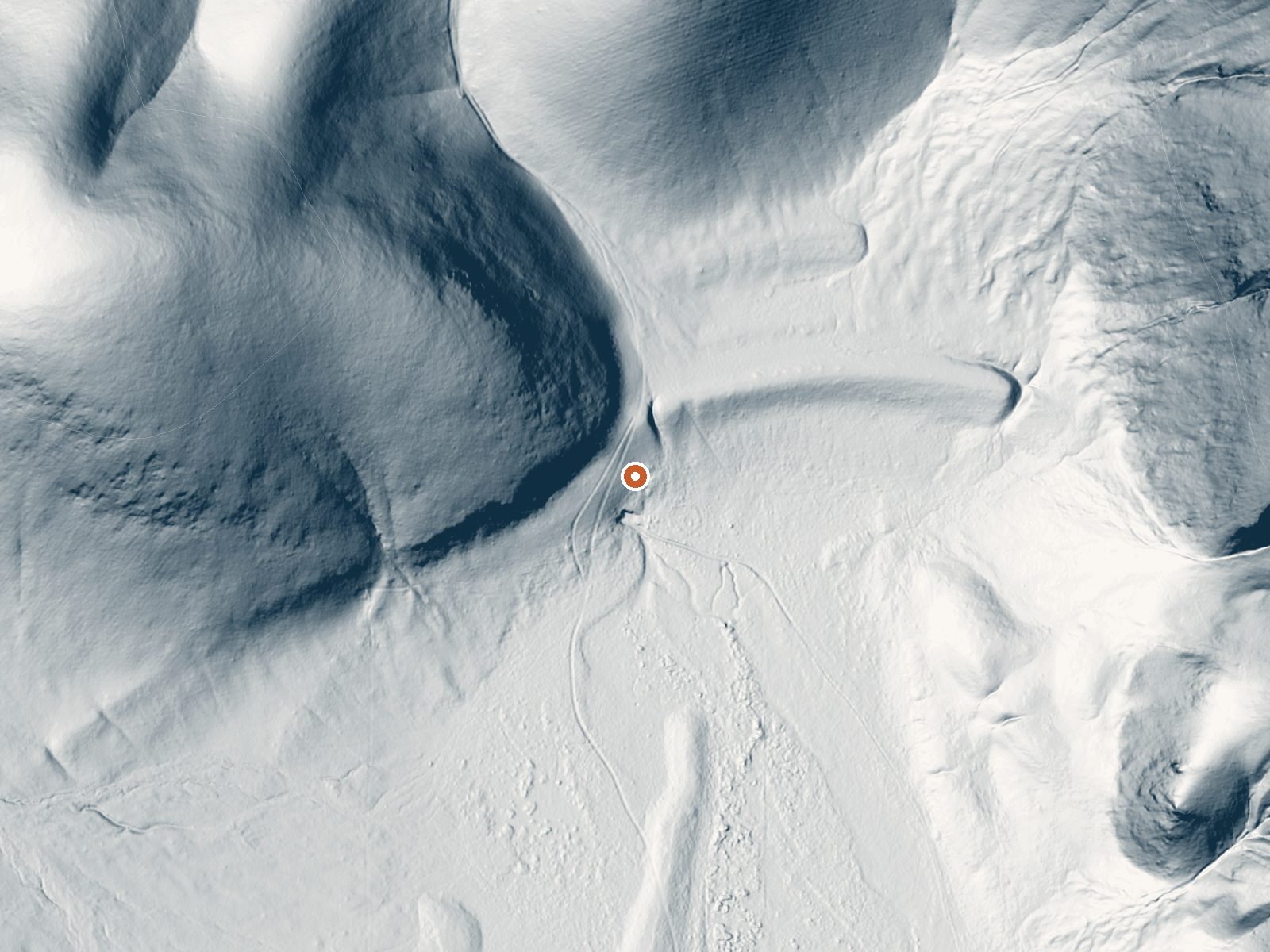 LiDAR bare-earth view of the same ground around Cane Springs