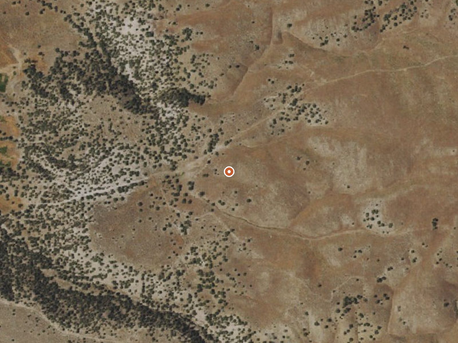 Aerial view of the ground around Carlotti Ranch Springs