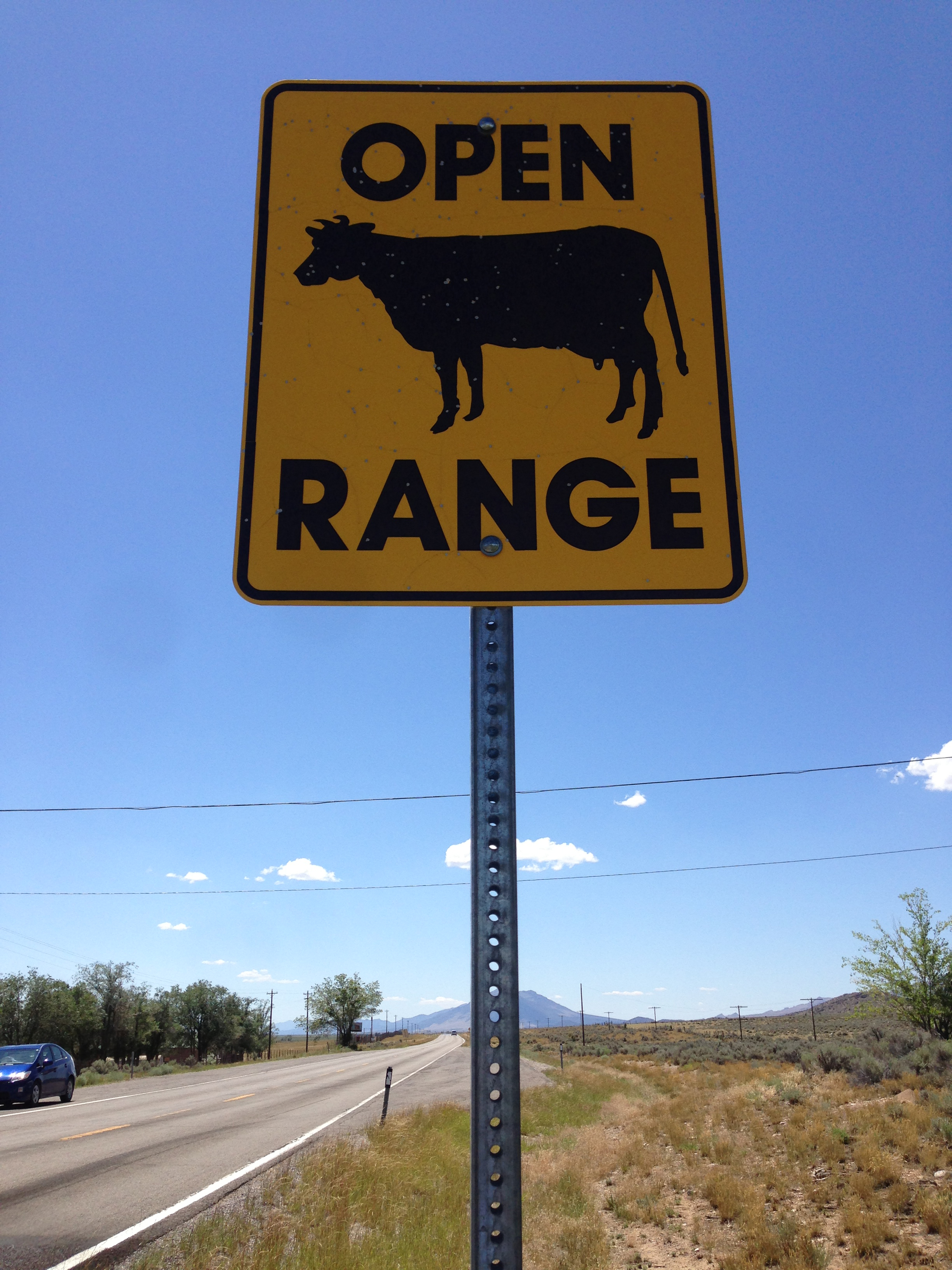Geyser Ranch Springs