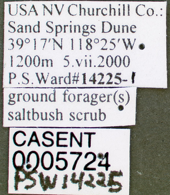 Sand Springs