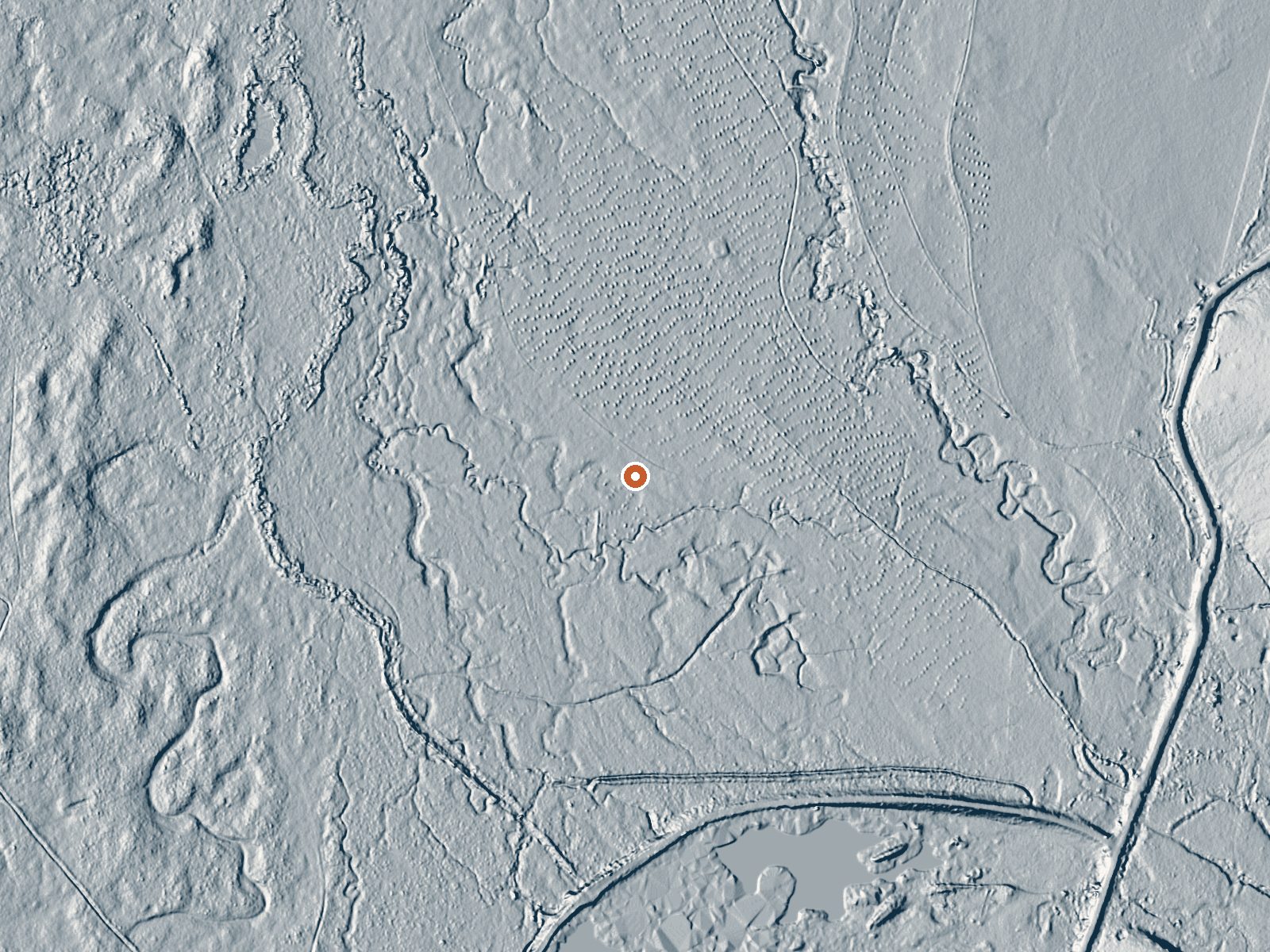 LiDAR bare-earth view of the same ground around the spring