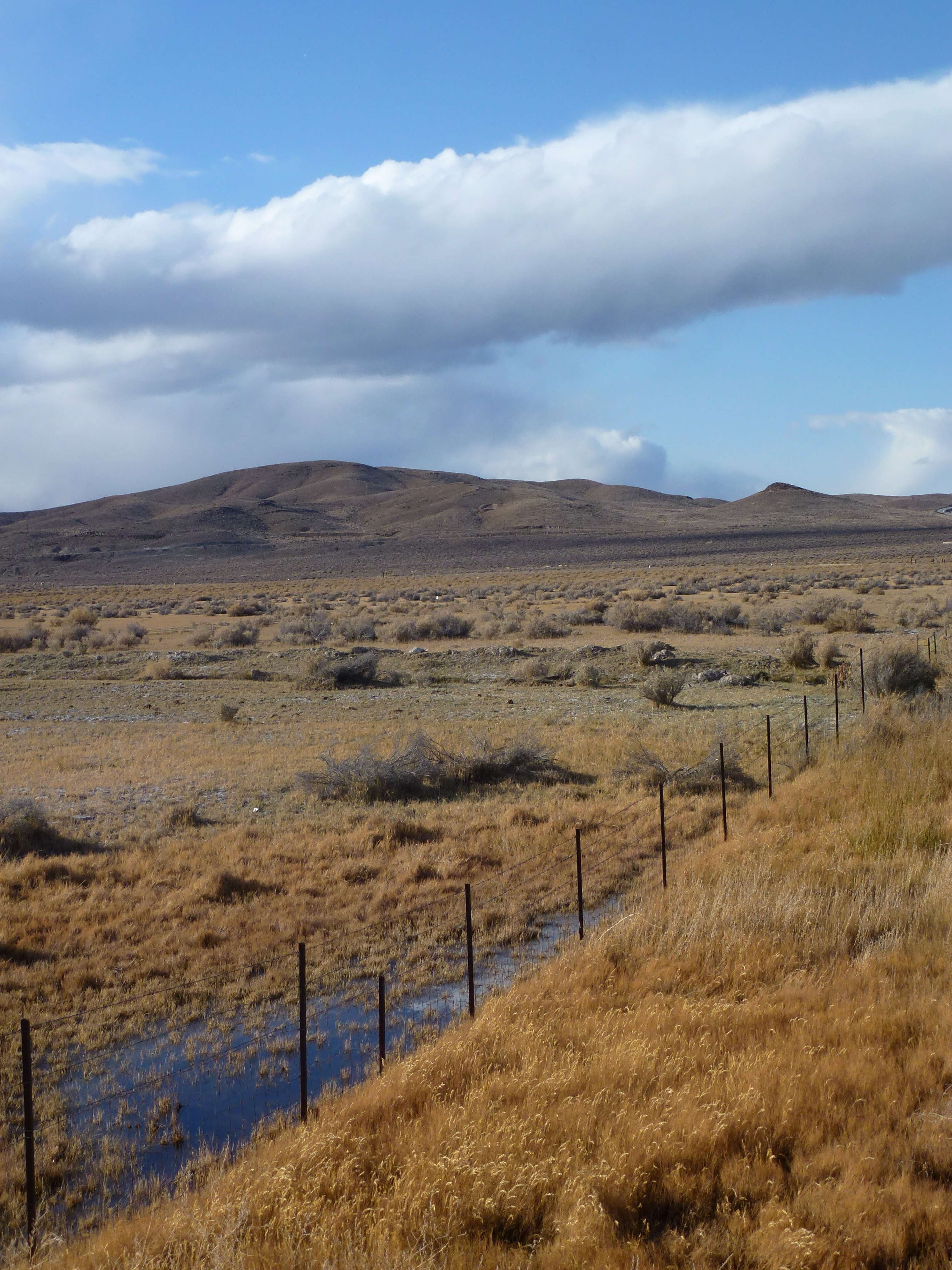 Wabuska Hot Springs