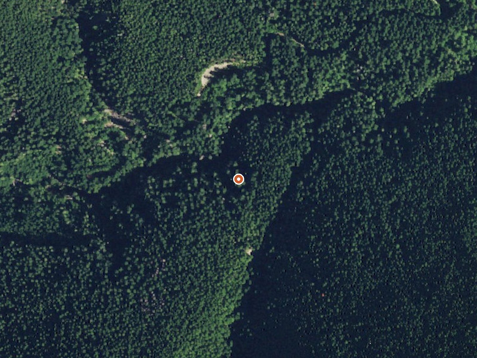 Aerial view of the ground around Olympic Hot Springs