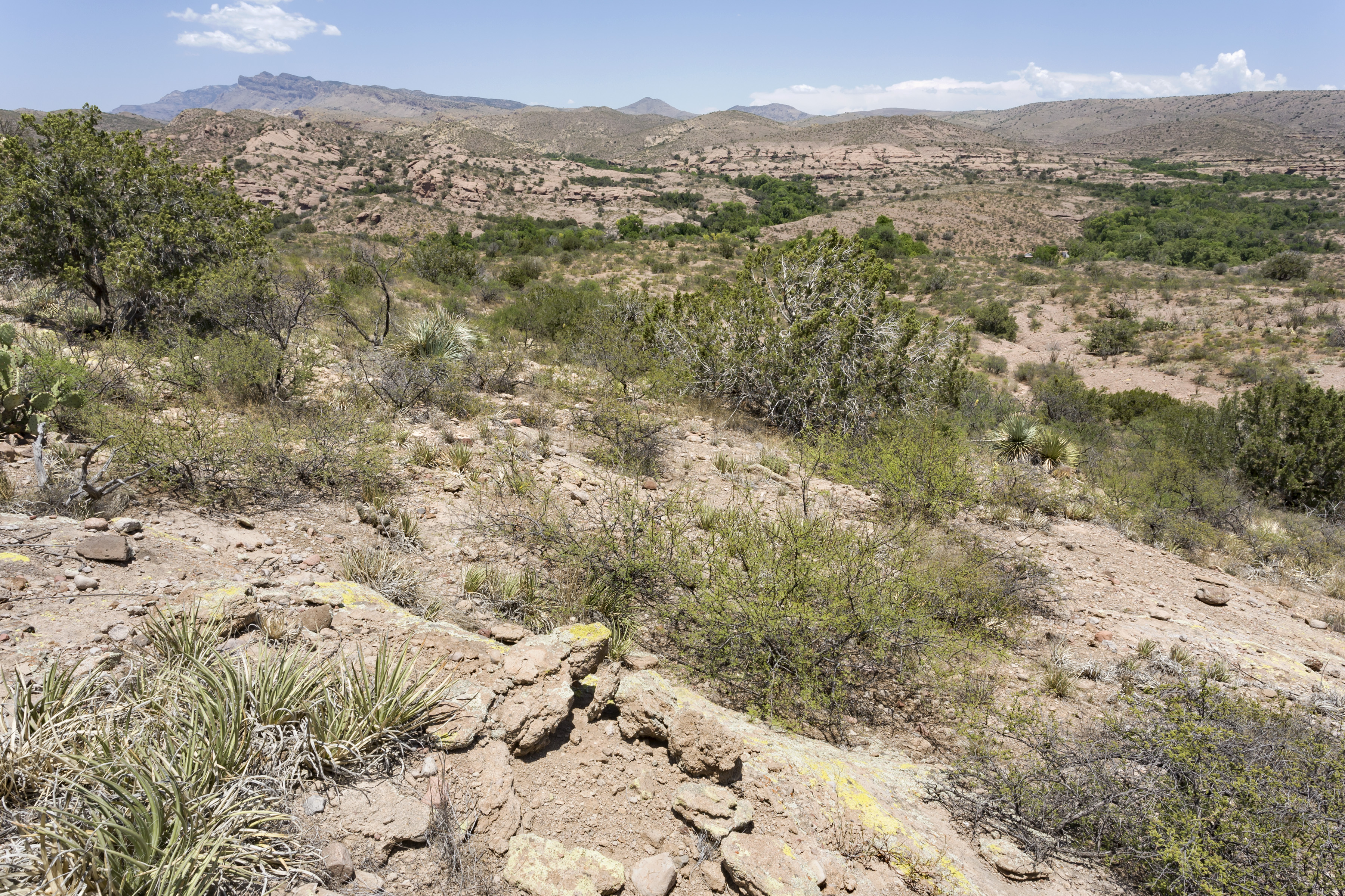 Warm Springs