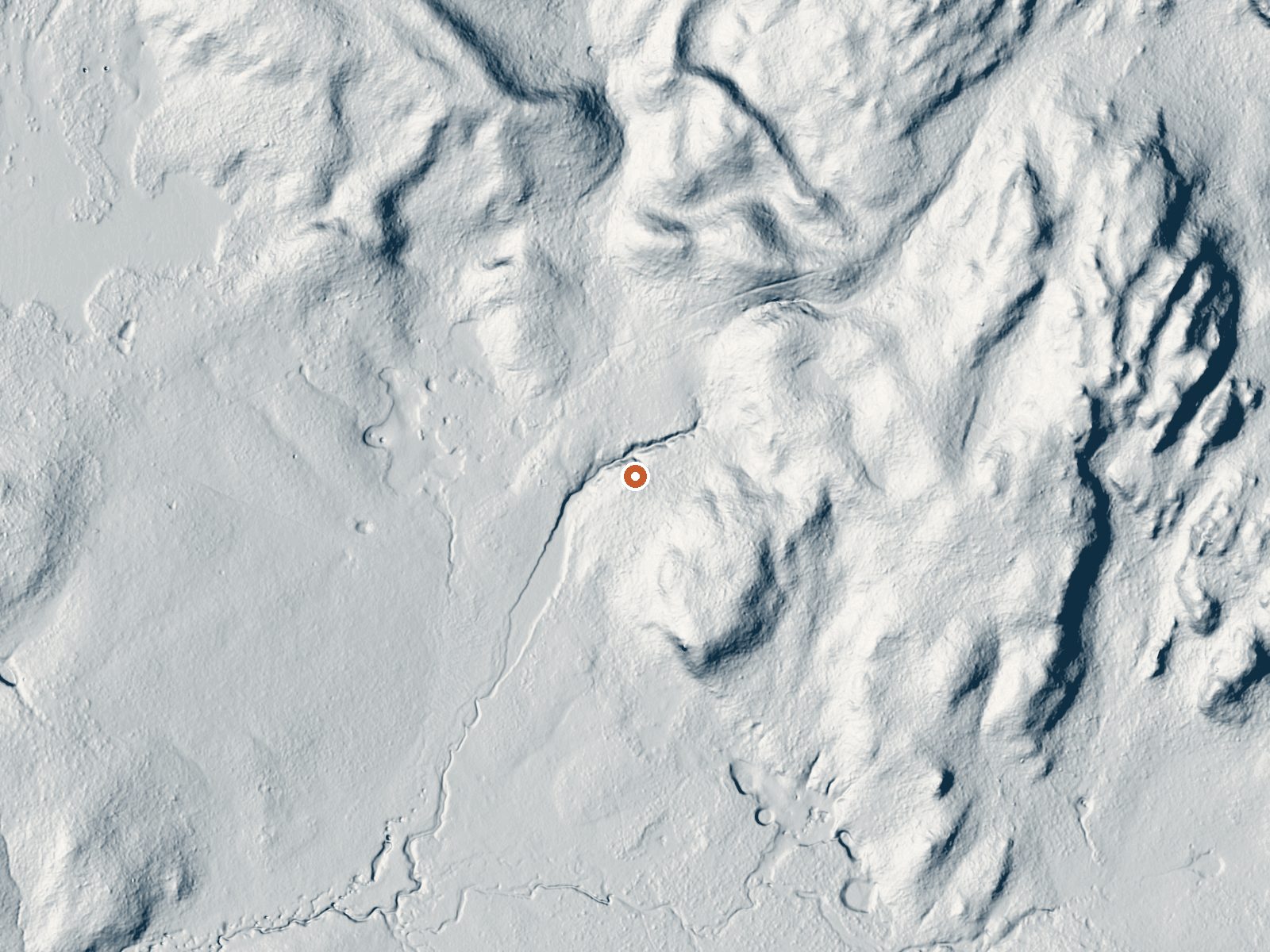 LiDAR bare-earth view of the same ground around Forest Springs