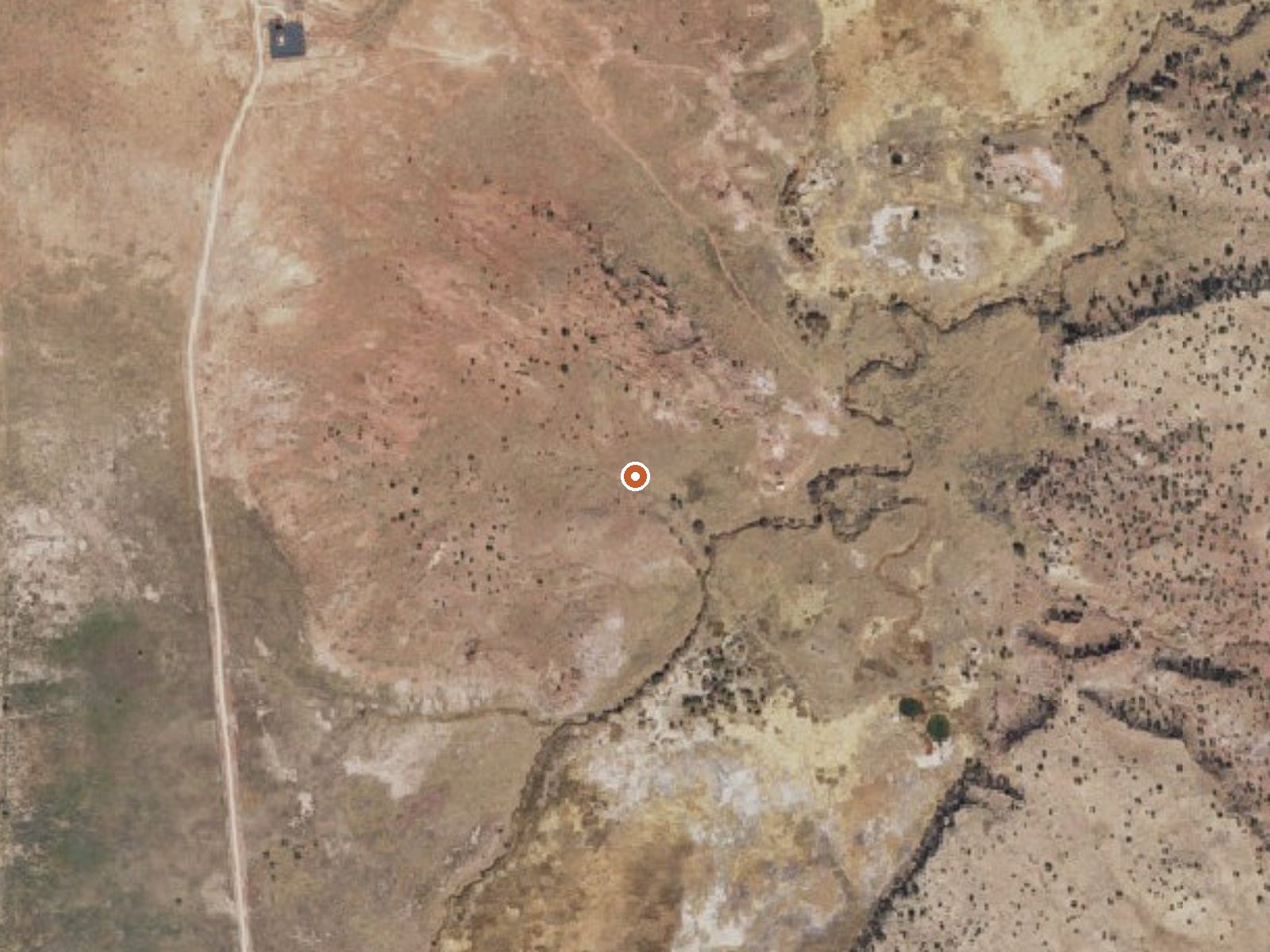 Aerial view of the ground around Salado Springs
