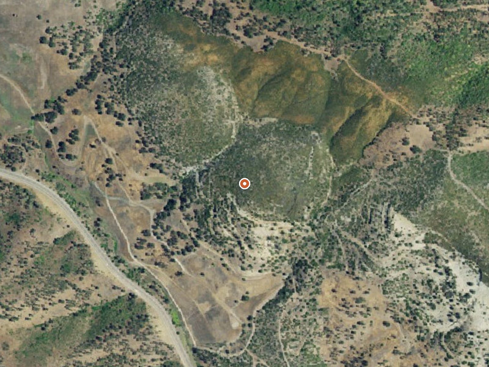 Aerial view of the ground around Abbott Mine