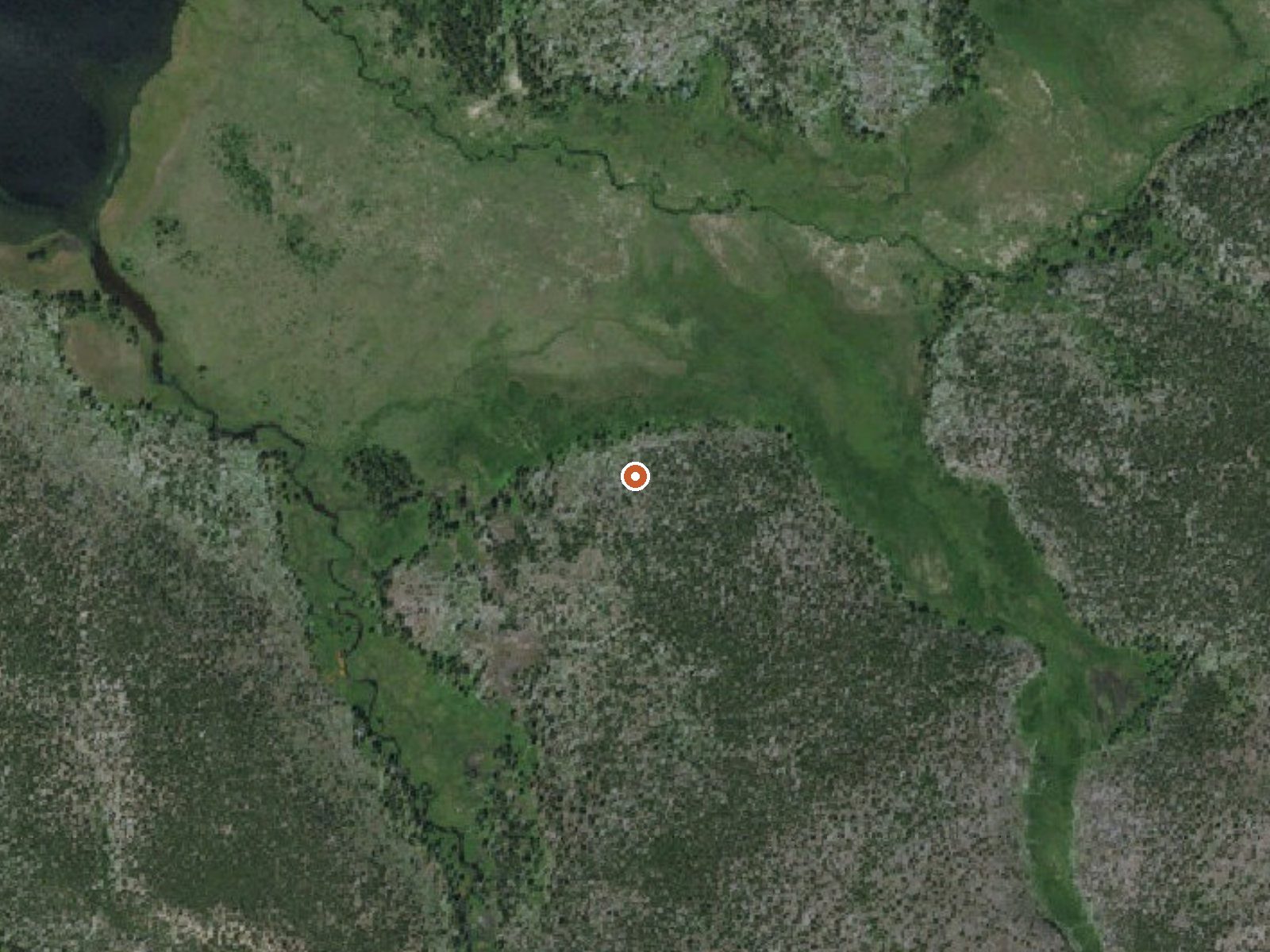 Aerial view of the ground around Wolf Lake Springs