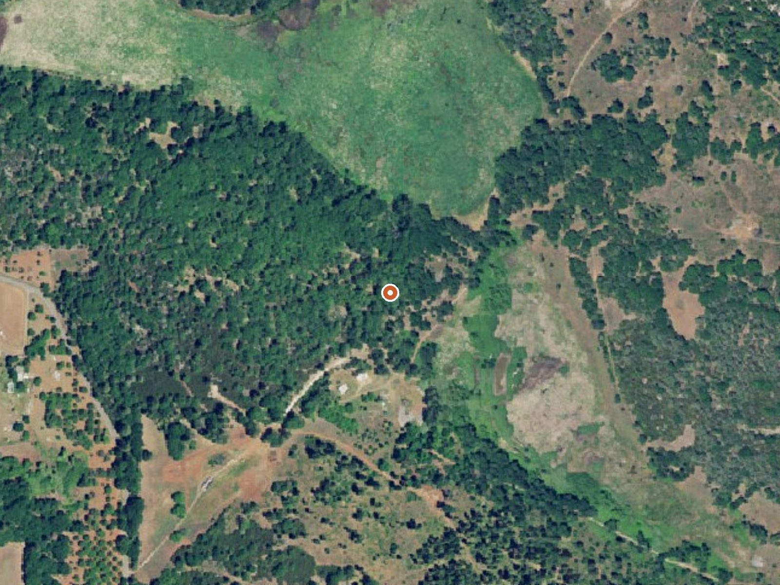 Aerial view of the ground around Hildebrande Spring