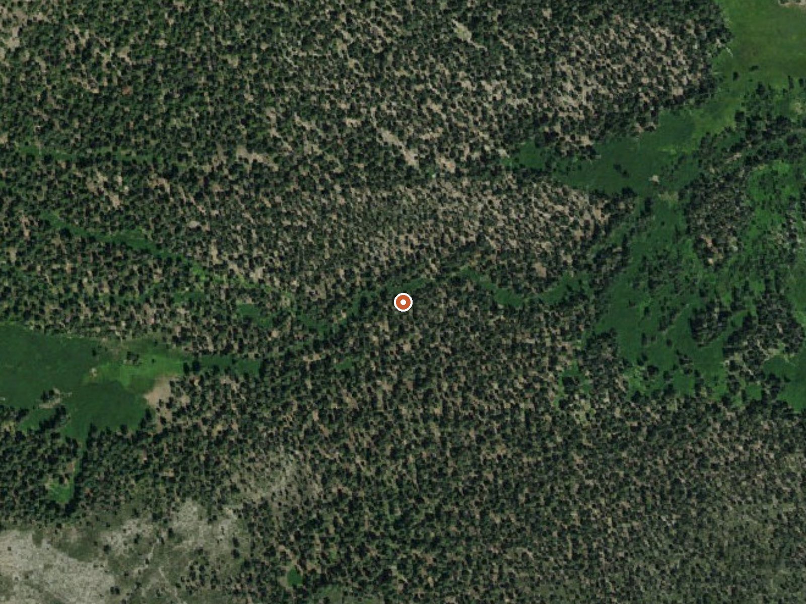 Aerial view of the ground around Hot Springs Valley