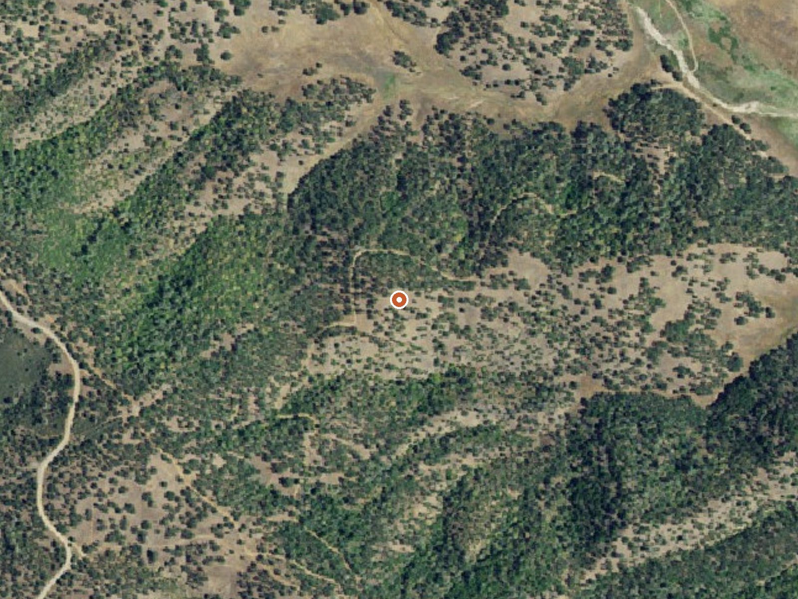 Aerial view of the ground around Jones Fountain Of Life Spring
