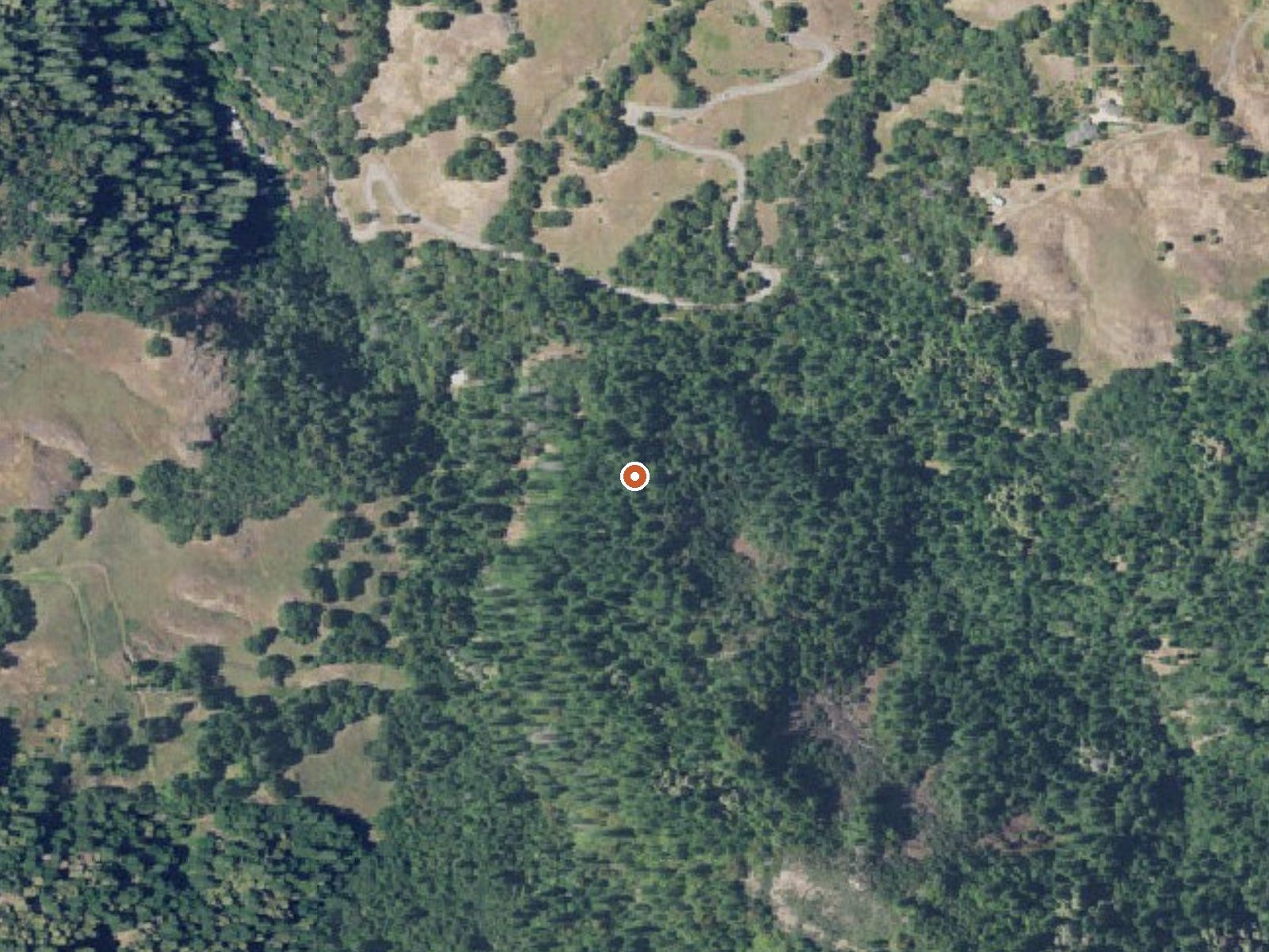 Aerial view of the ground around Orrs Springs