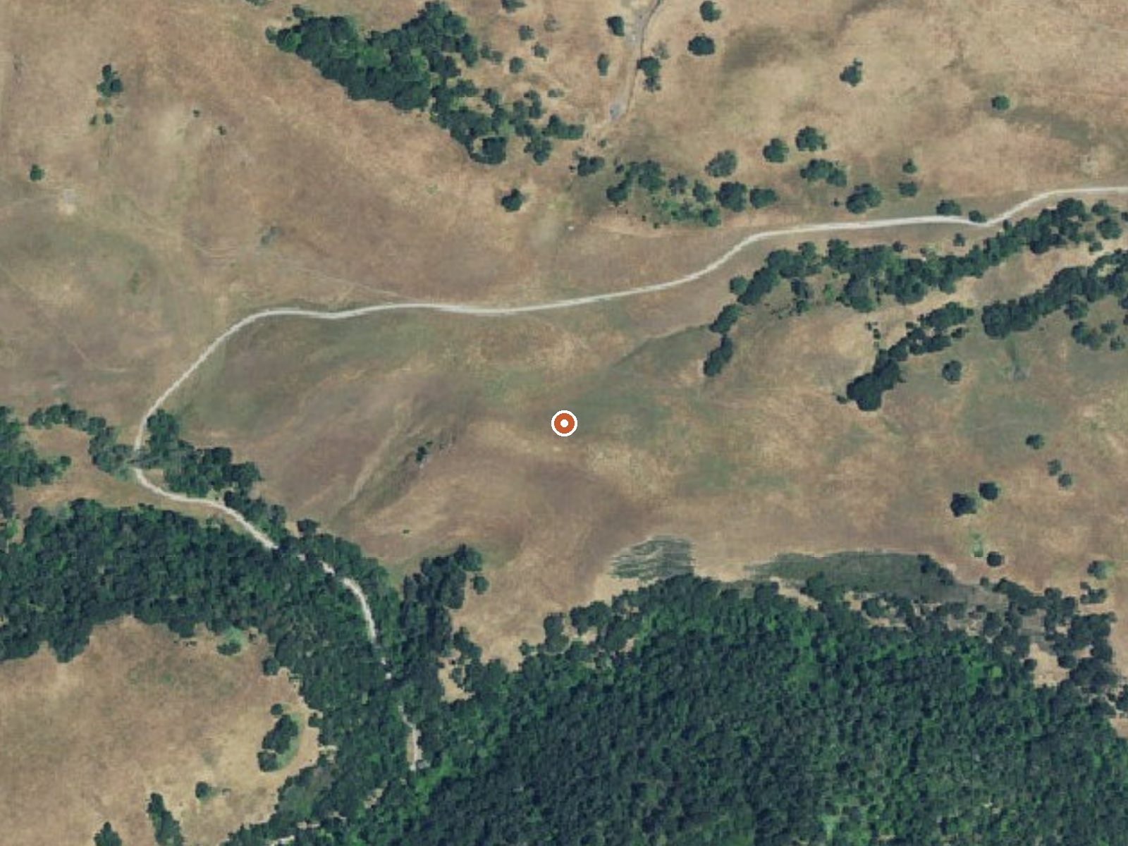 Aerial view of the ground around Sargent Estate Warm Spring