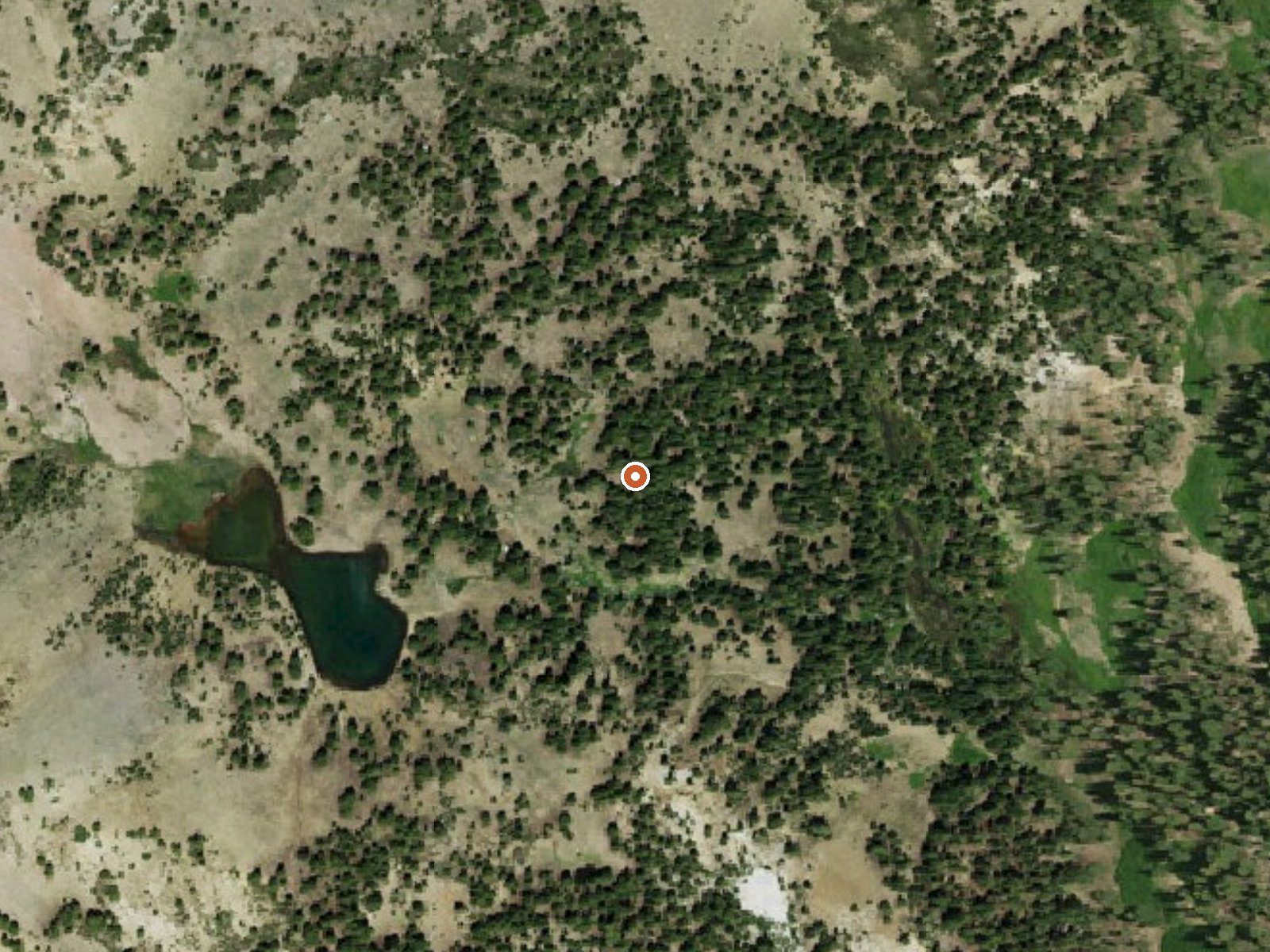Aerial view of the ground around Mill Creek Springs