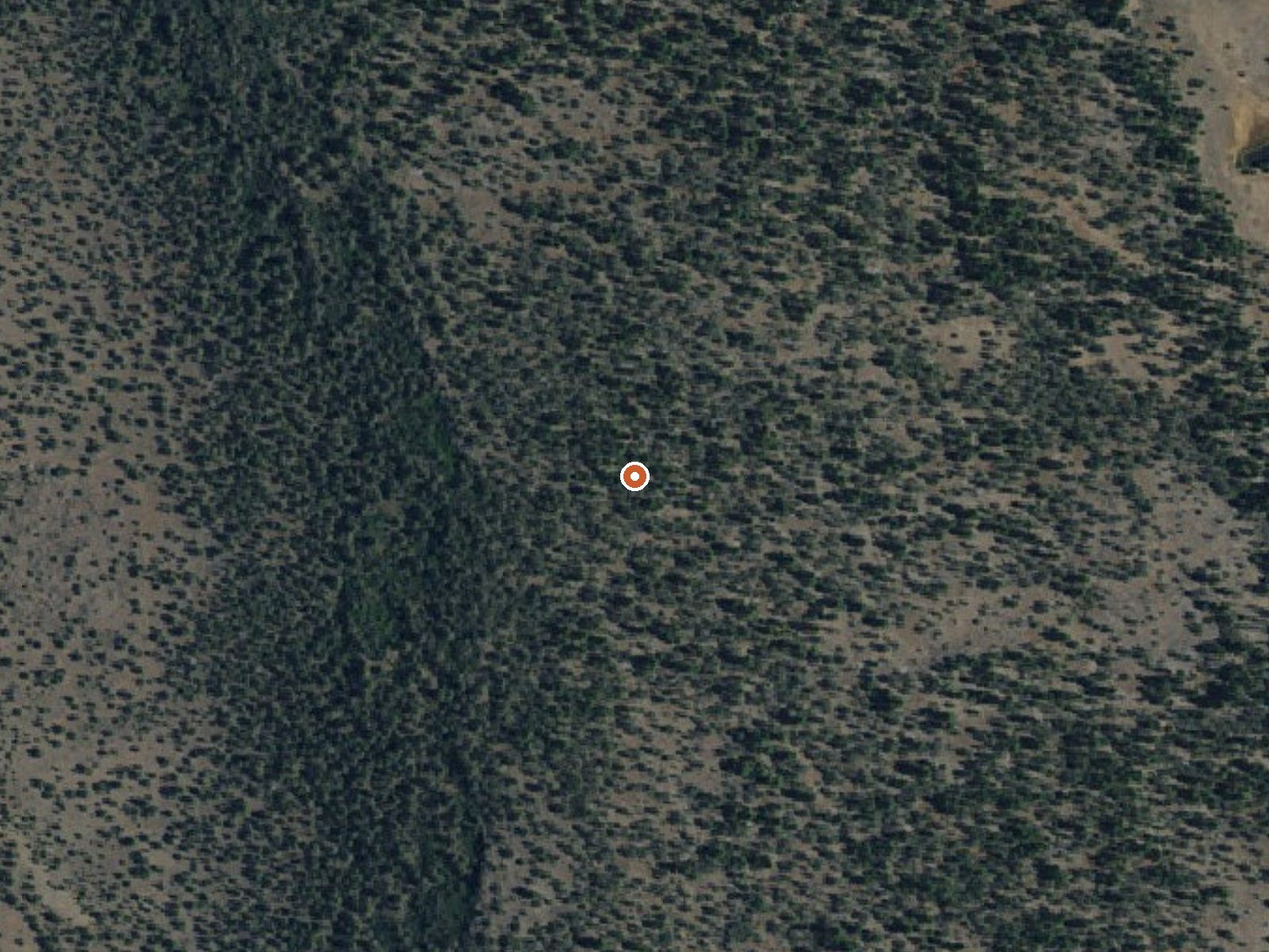 Aerial view of the ground around Warm Spring