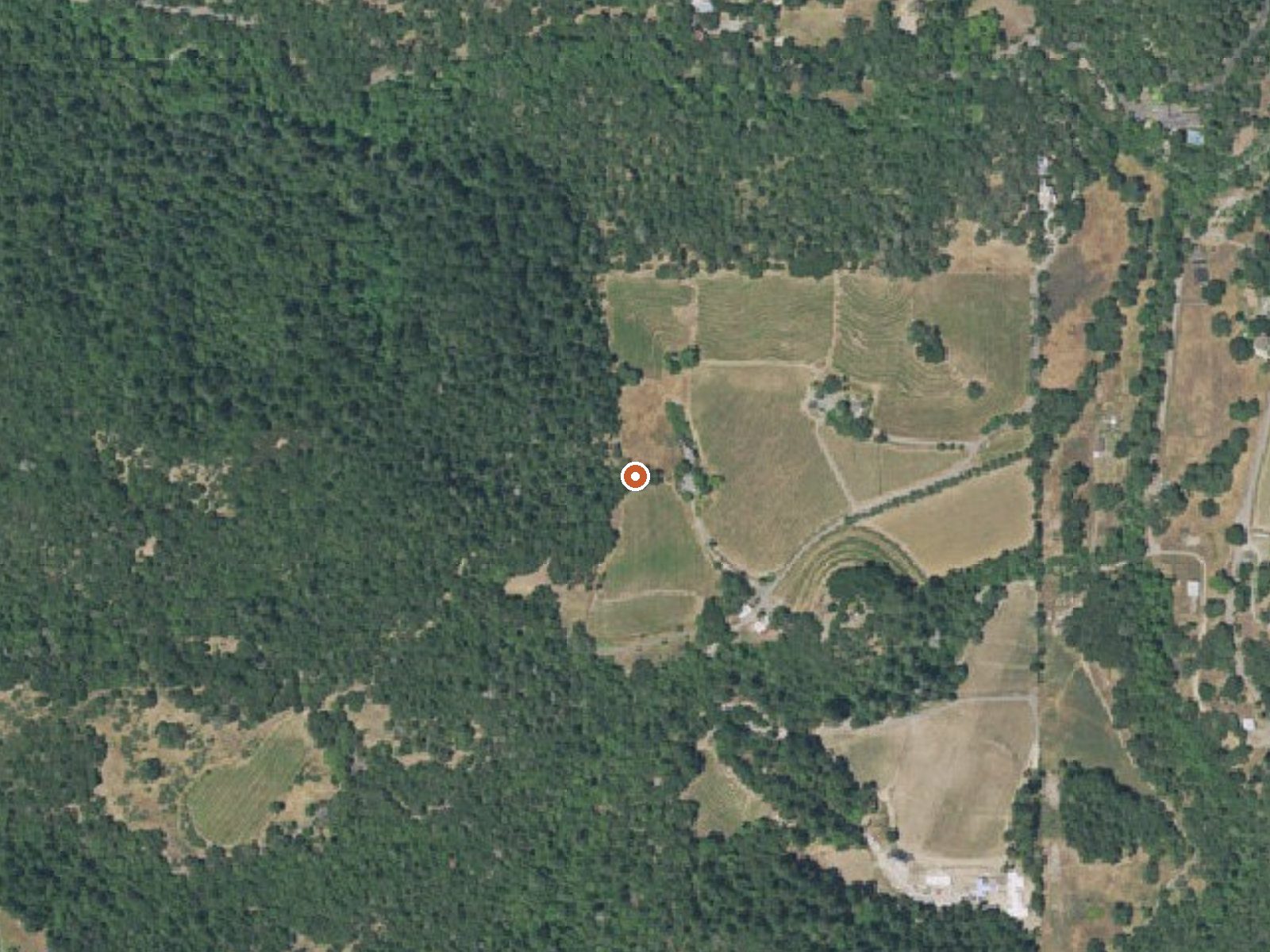Aerial view of the ground around White Sulphur Springs (California)