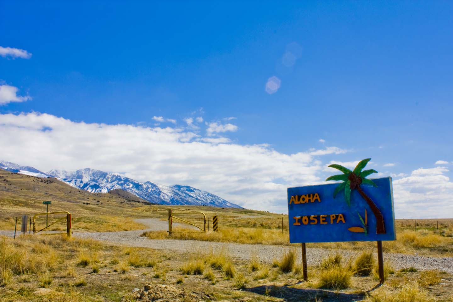 Deseret Livestock South Spring