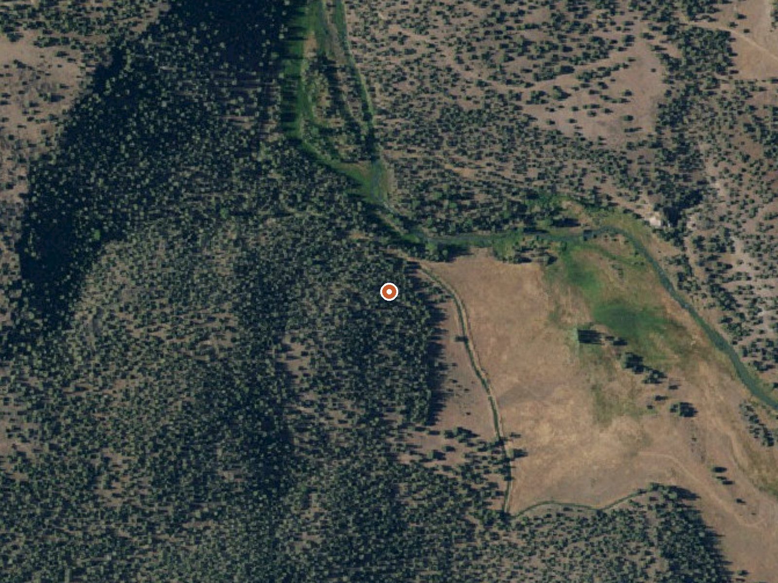 Aerial view of the ground around the spring
