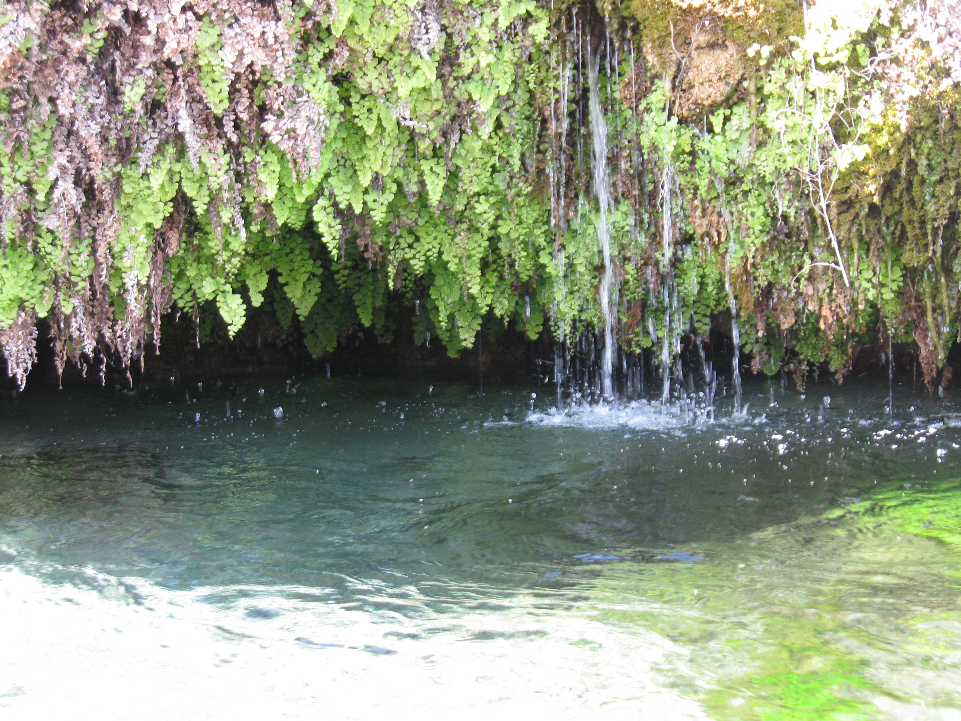 Gandy Warm Springs