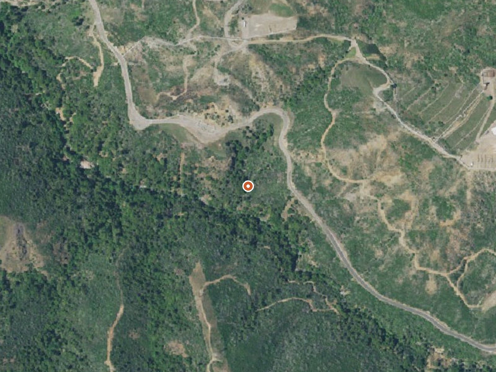 Aerial view of the ground around the spring