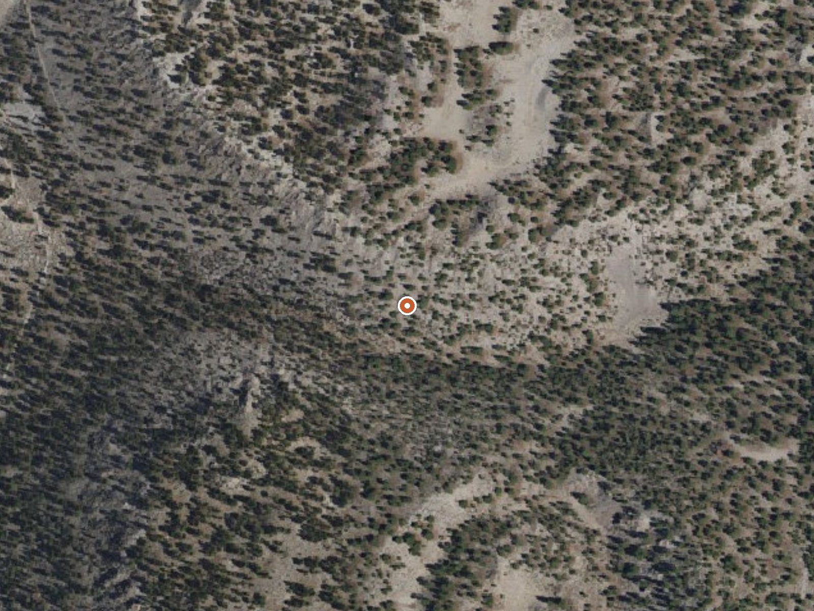 Aerial view of the ground around the spring