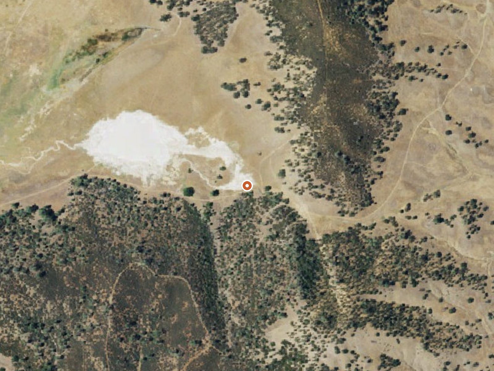 Aerial view of the ground around Sulphur Spring, Salt Spring