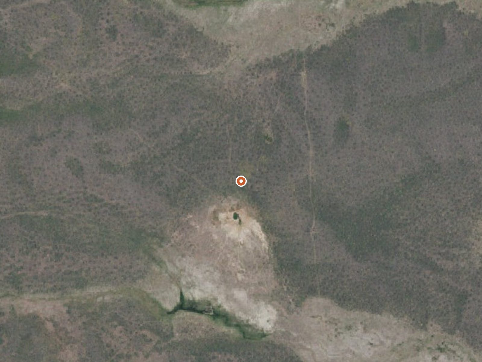 Aerial view of the ground around Alkali Flats Warm Spring