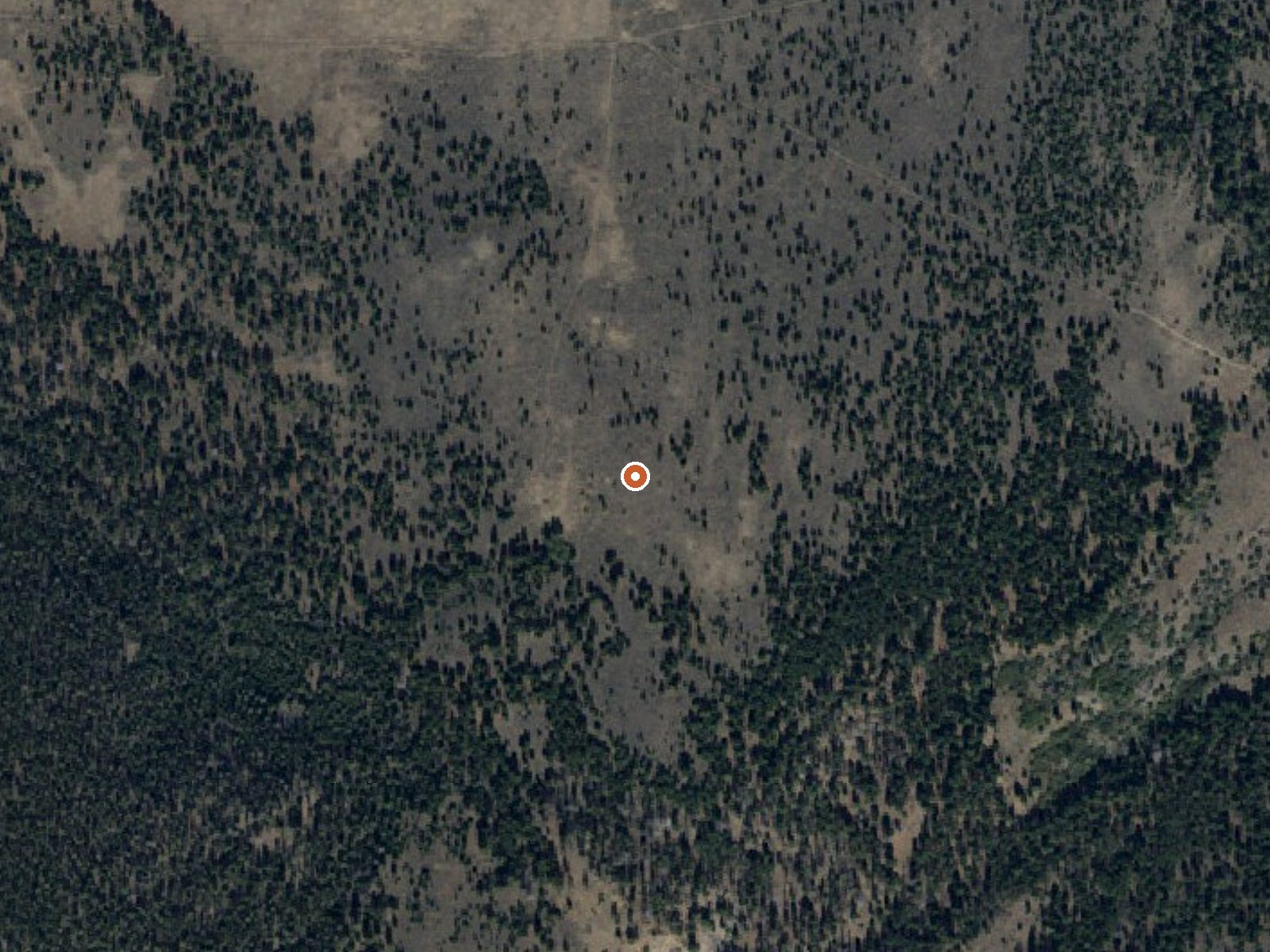 Aerial view of the ground around Big Eightmile Creek Warm Spring