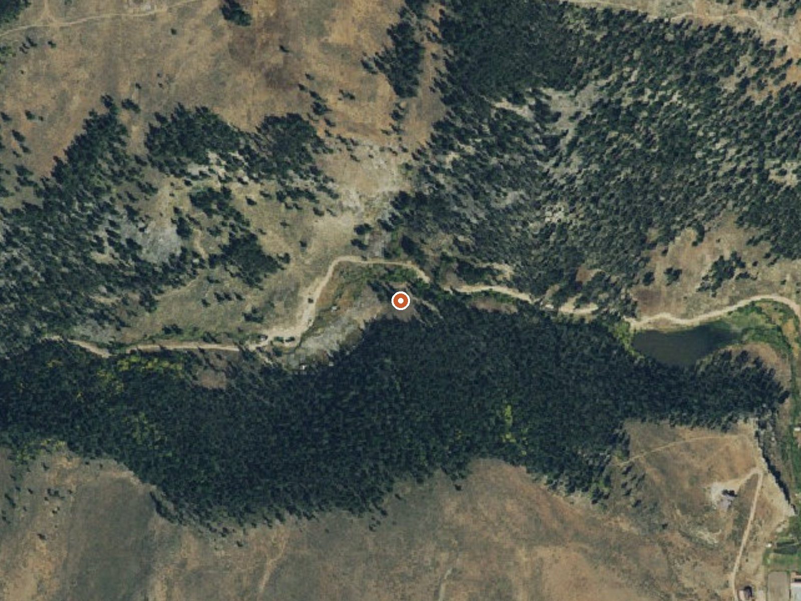 Aerial view of the ground around Lower Waunita Hot Springs