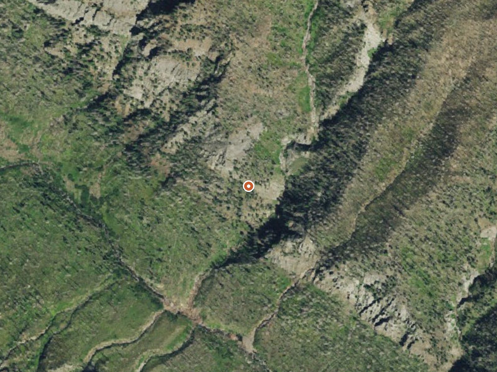 Aerial view of the ground around Rainbow Hot Springs