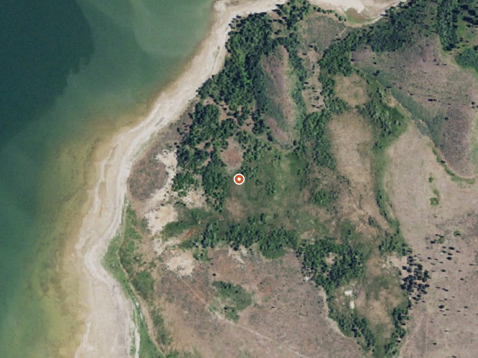 Aerial view of the ground around Henry Warm Spring