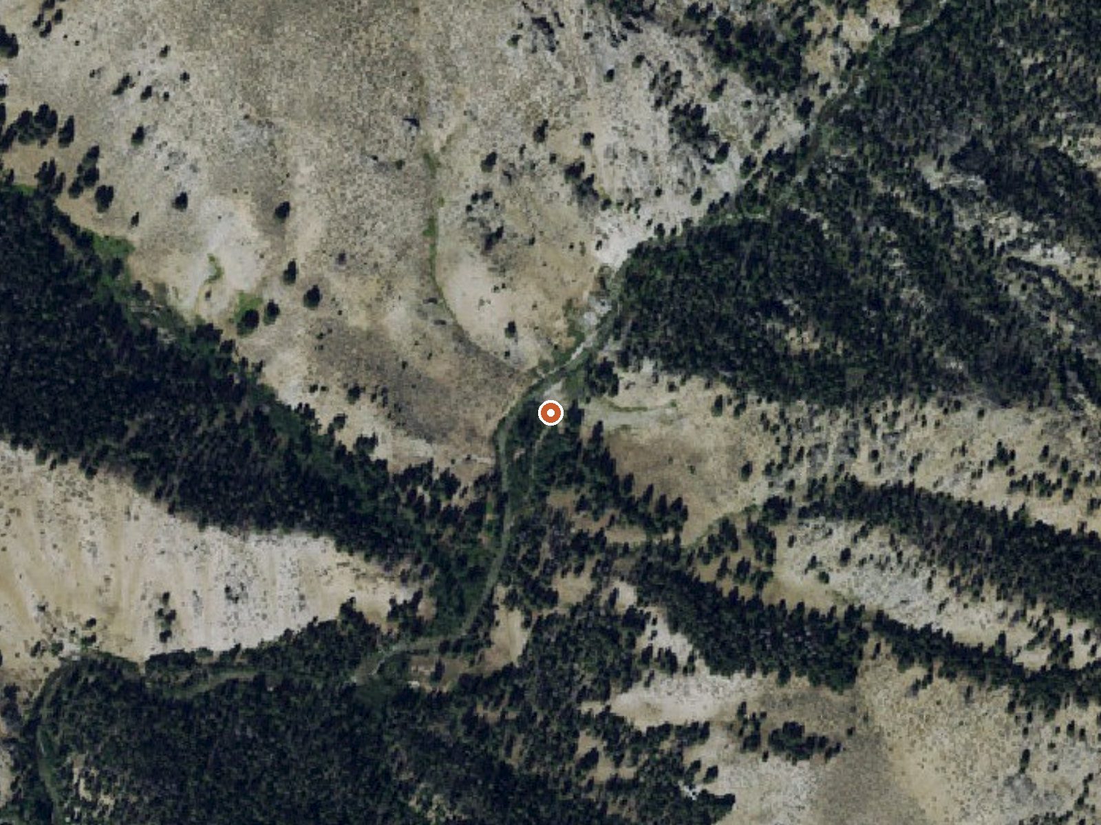 Aerial view of the ground around Skillern Hot Springs