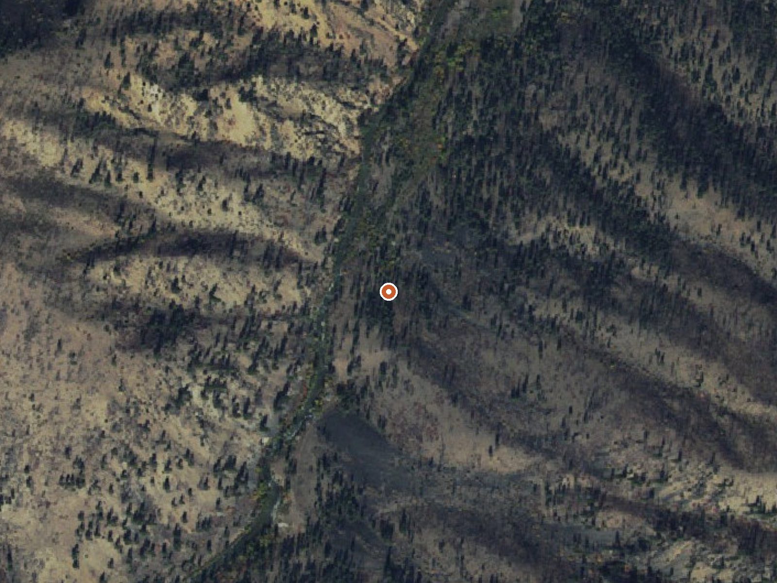 Aerial view of the ground around Upper Loon Creek Hot Springs