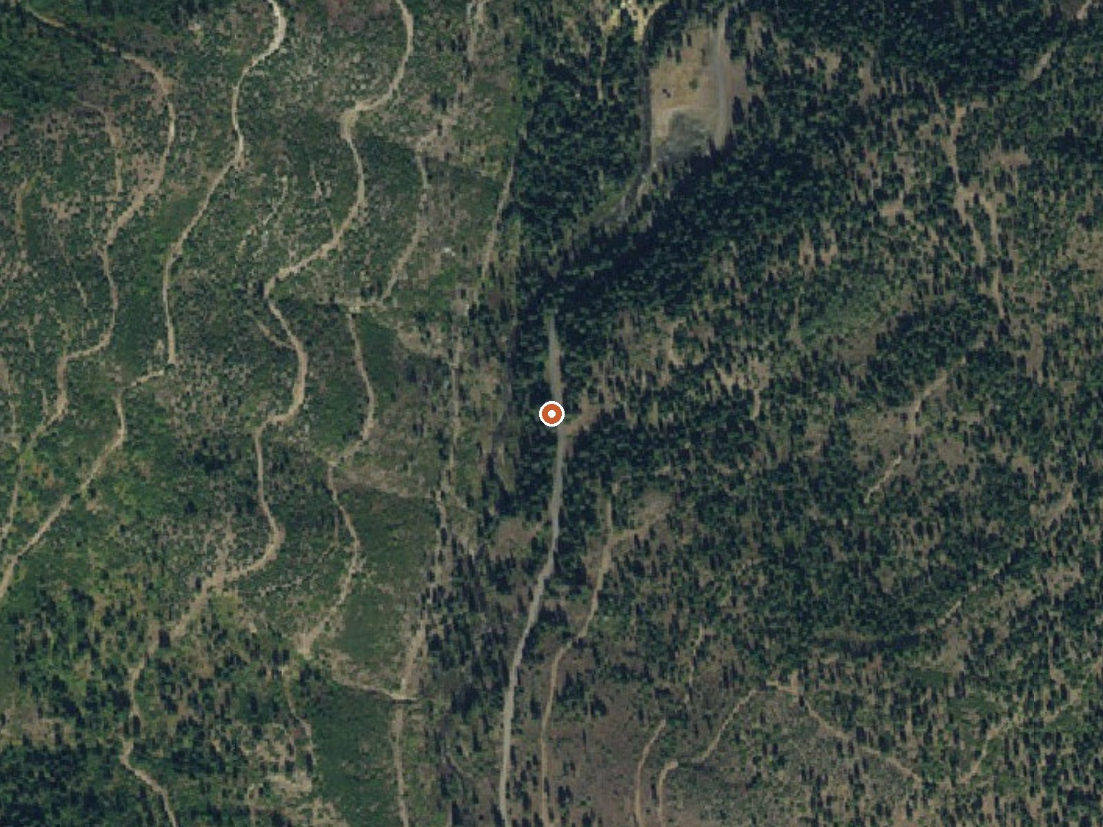 Aerial view of the ground around White Licks Hot Spring