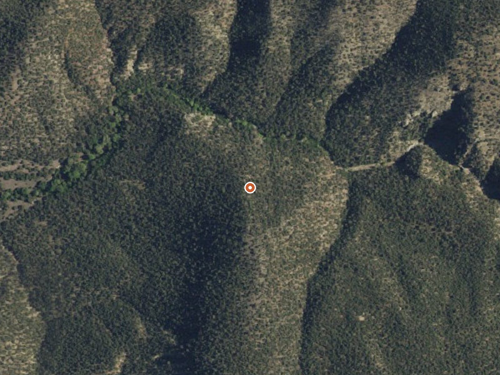Aerial view of the ground around Allen Springs