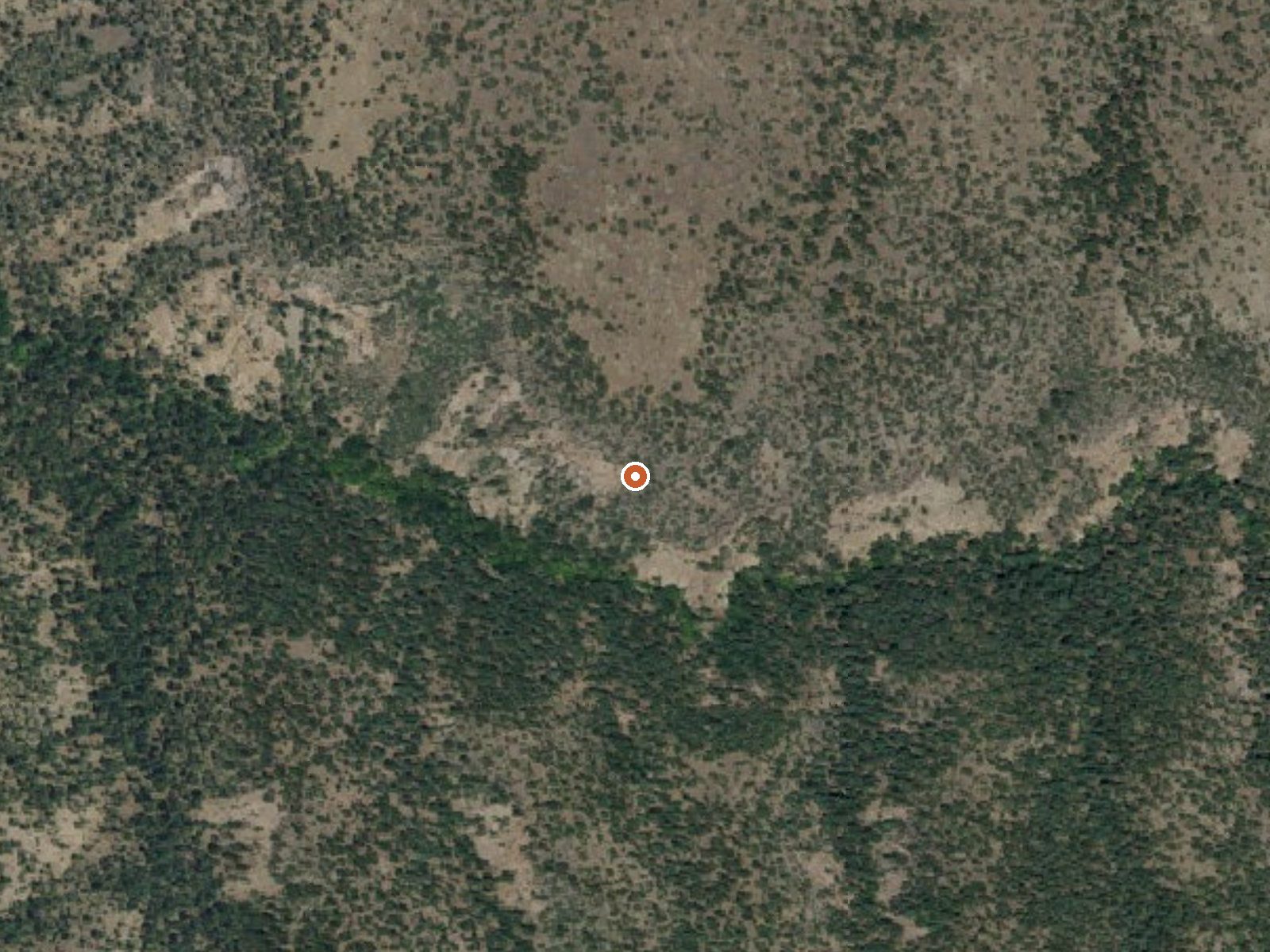 Aerial view of the ground around Frieborn Canyon Spring