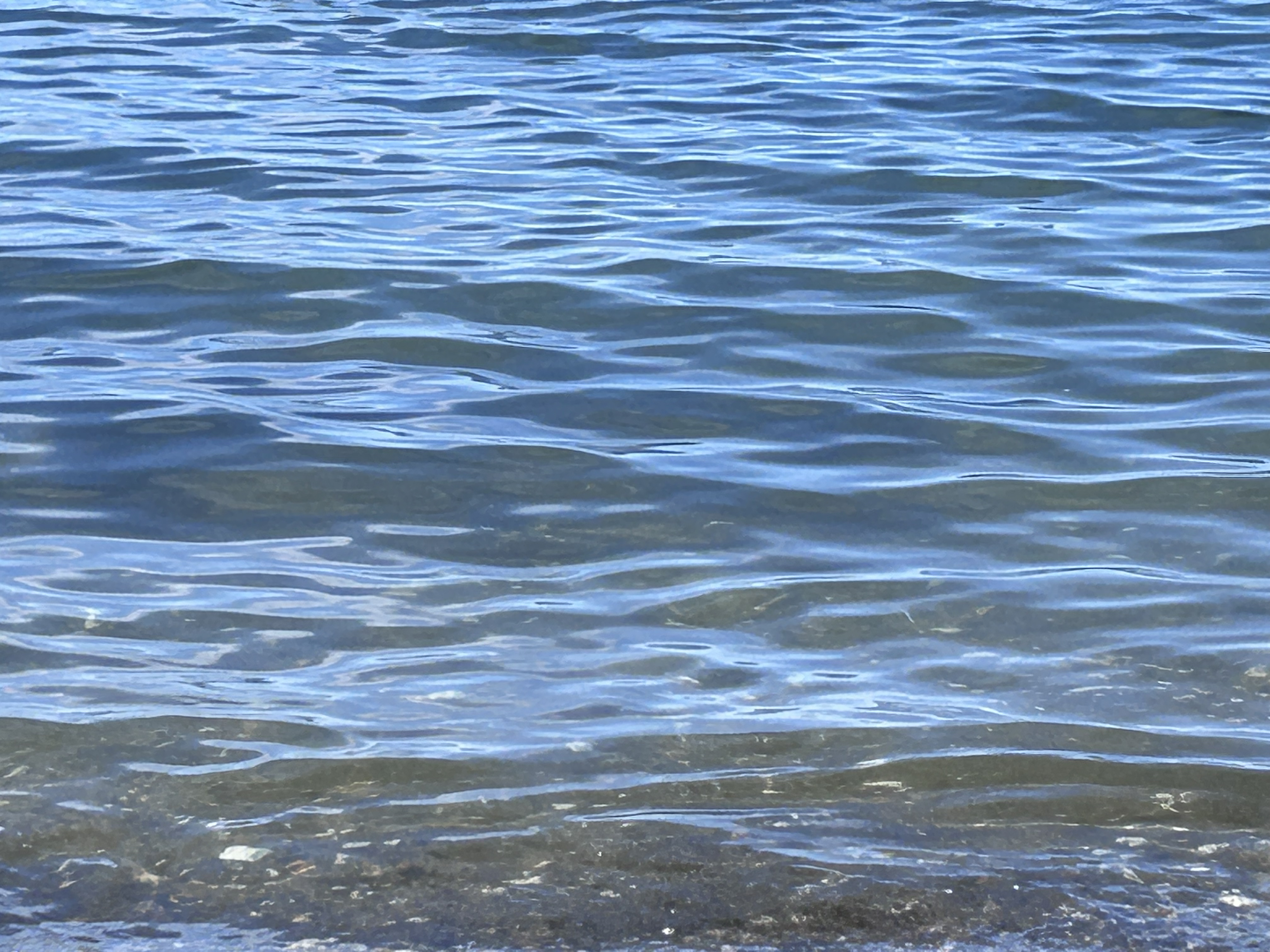 Beach Springs