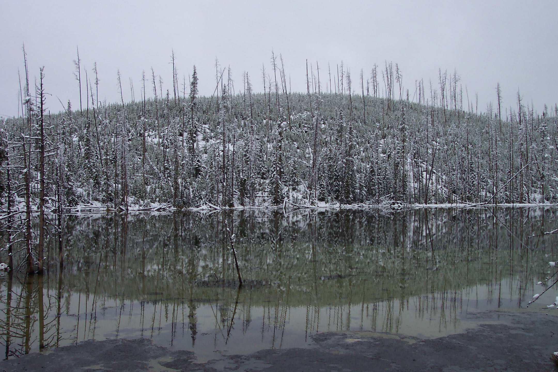 Bijah Spring